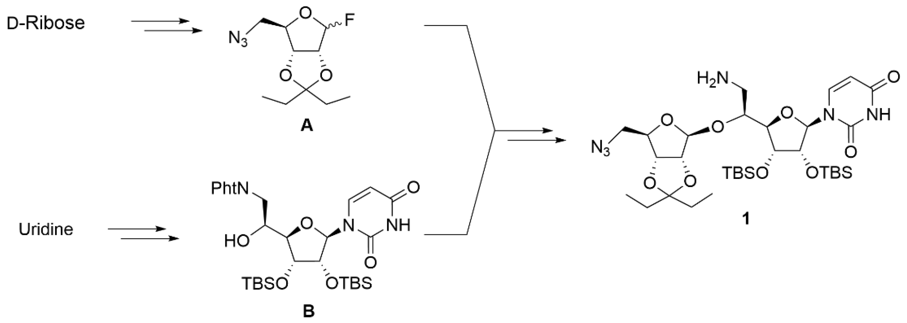 Molecules 27 01769 g003