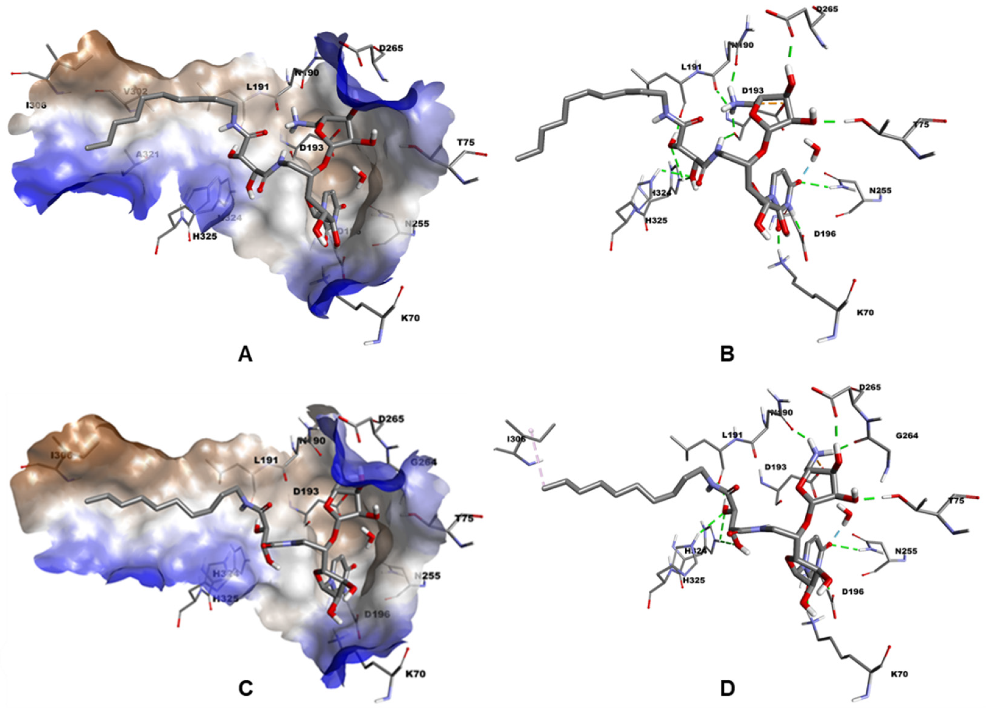 Molecules 27 01769 g005