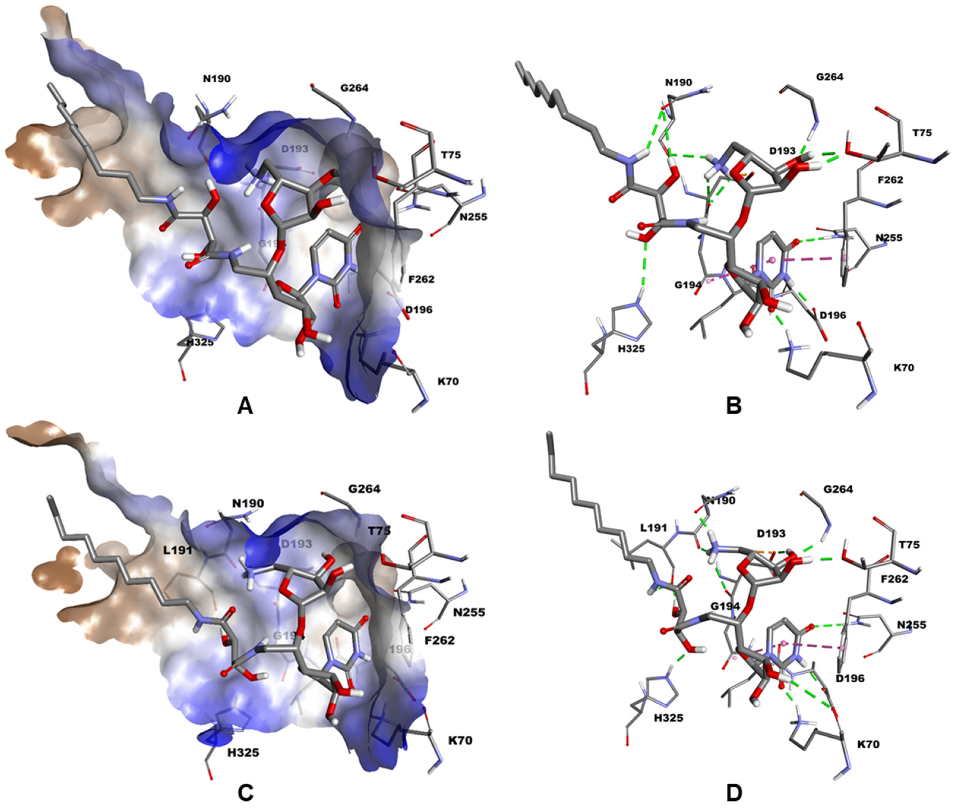 Molecules 27 01769 g006