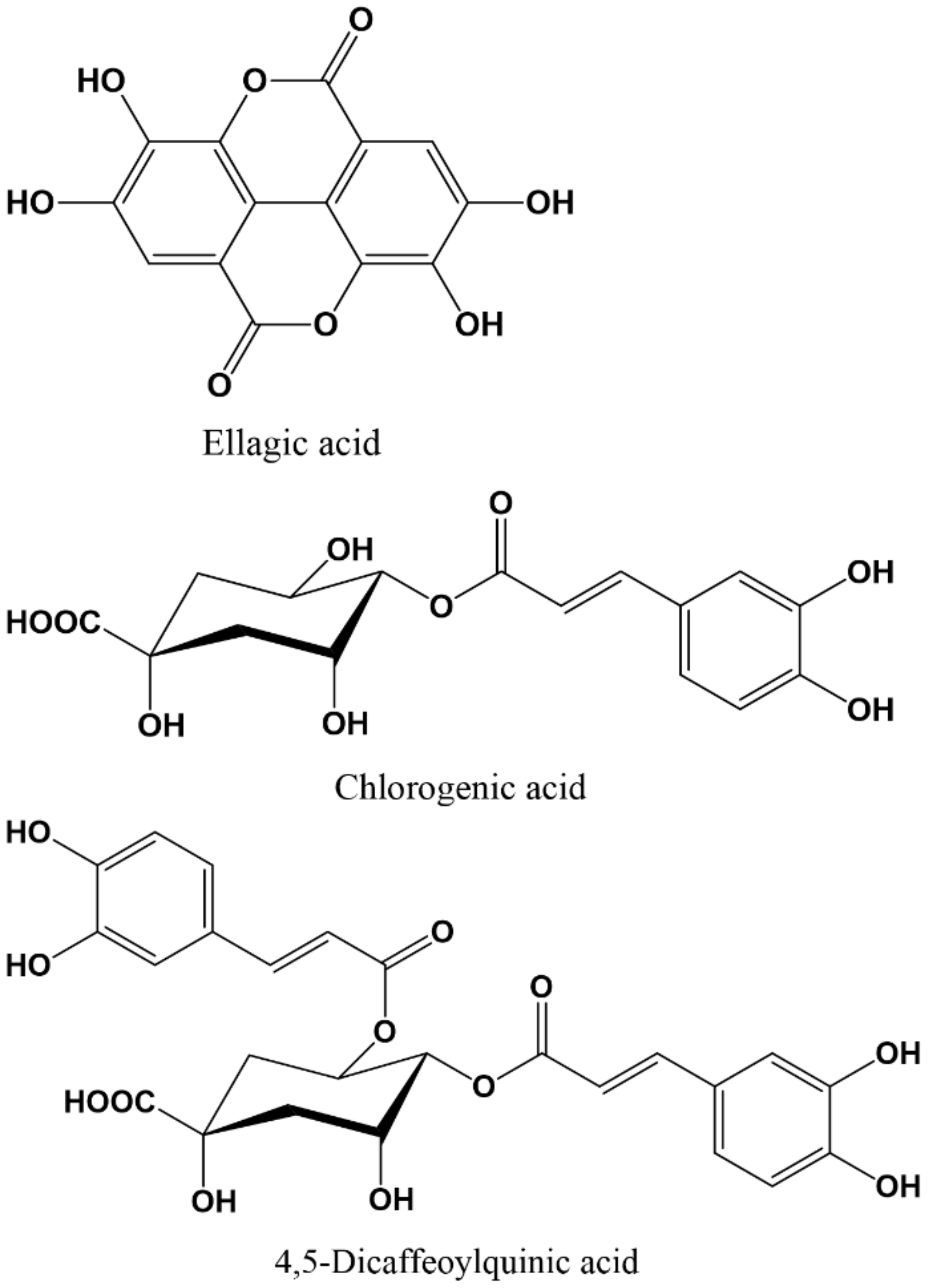 Molecules 27 01770 g004