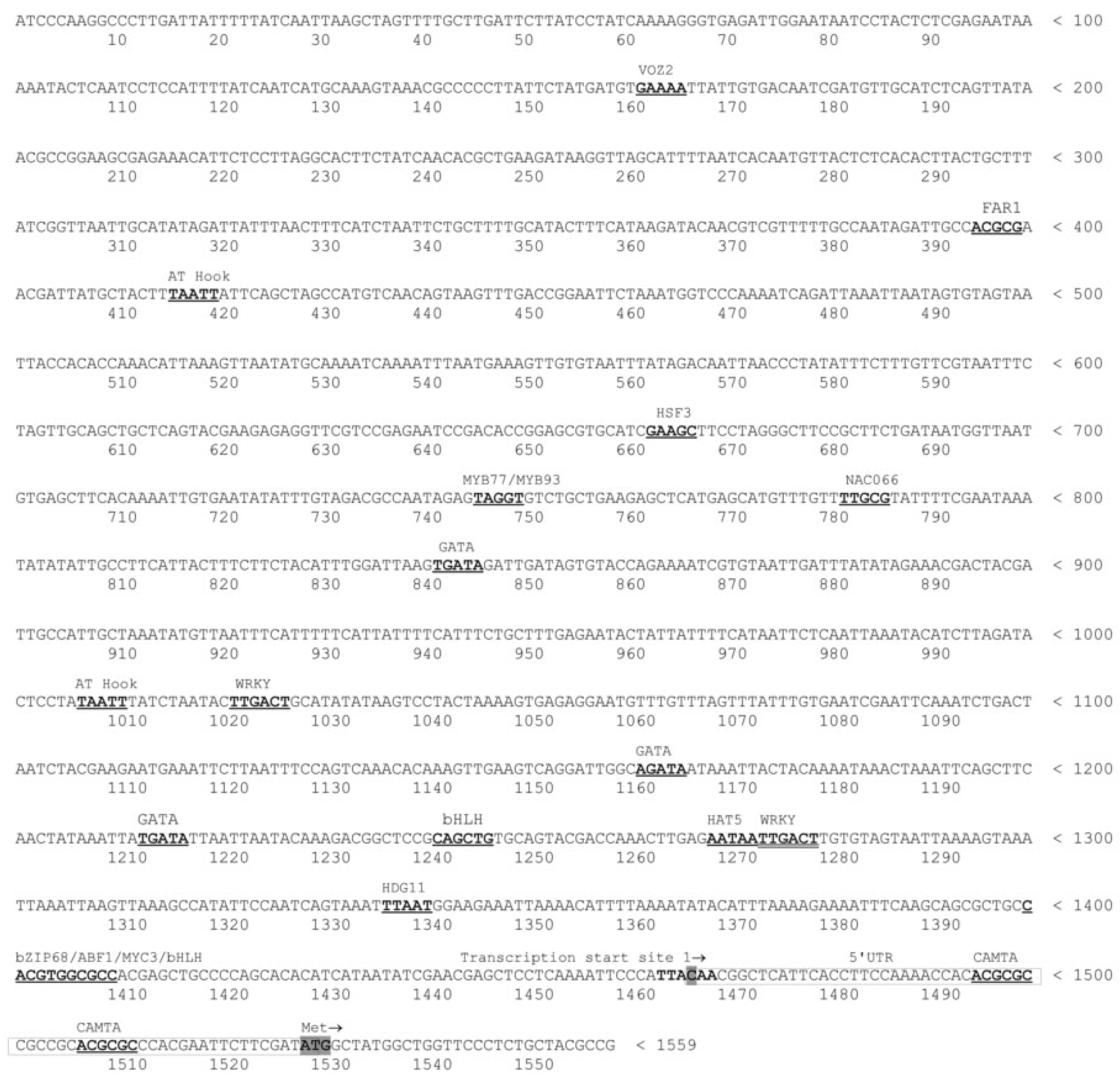 Molecules 27 01772 g001