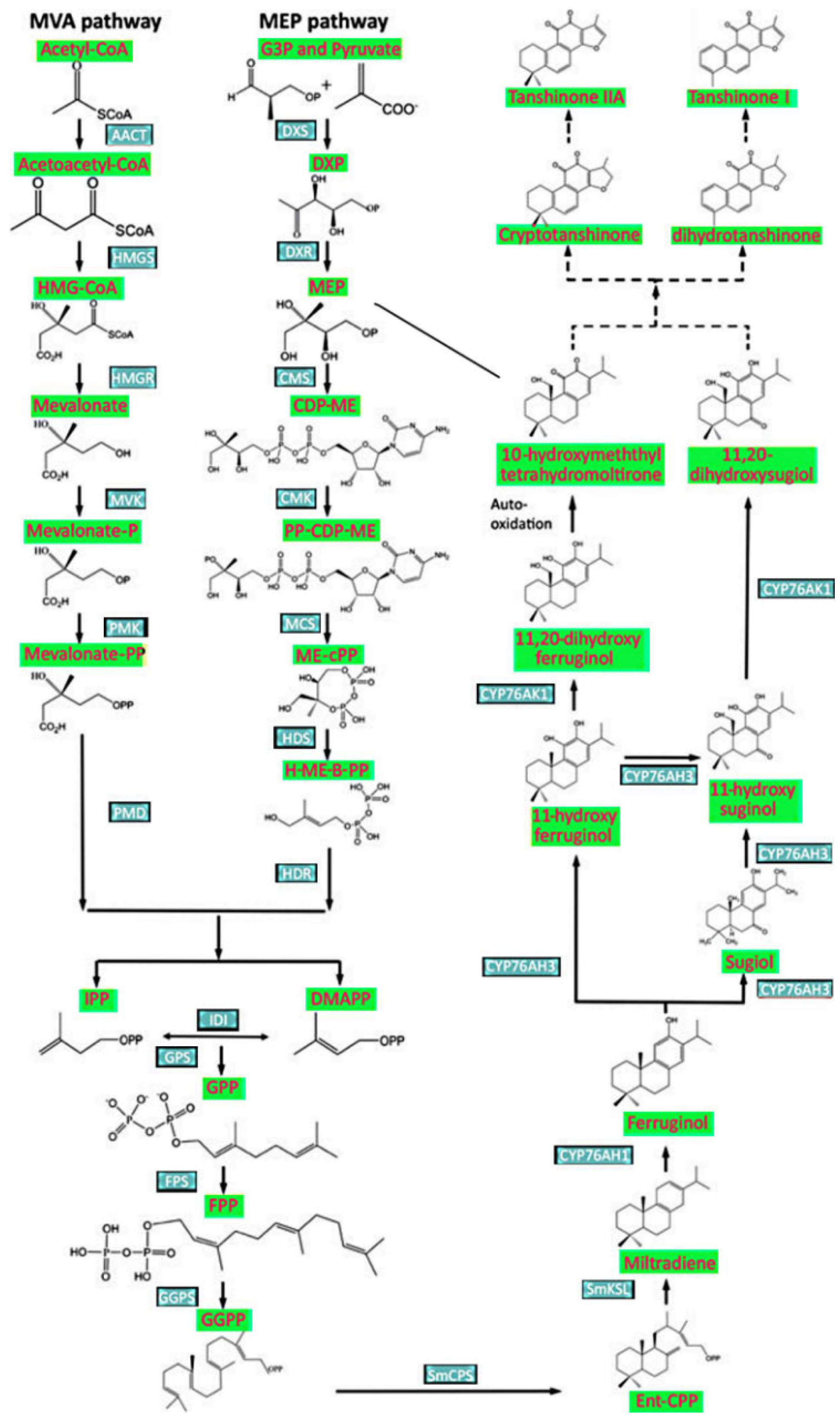Molecules 27 01772 g006 550
