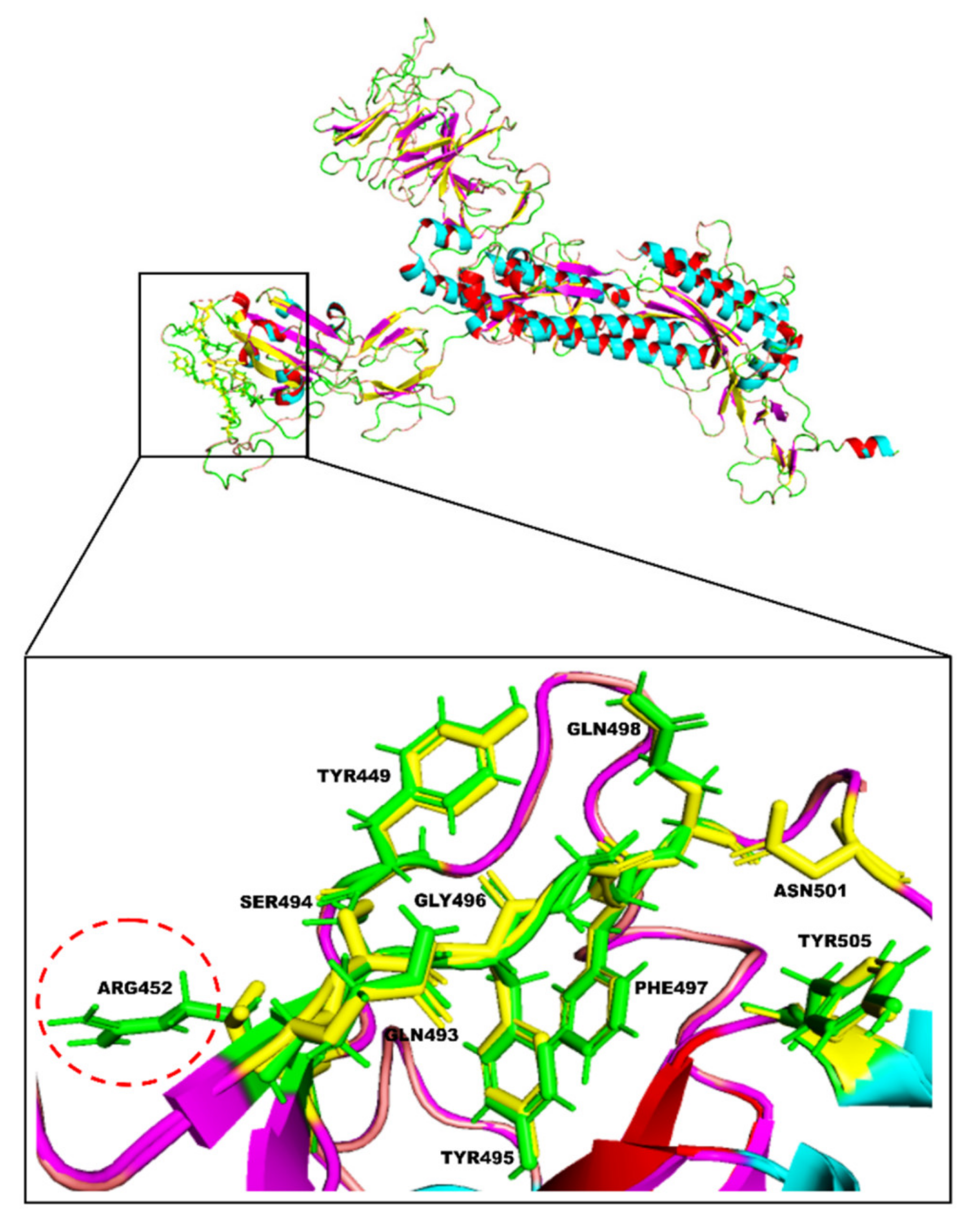 Molecules 27 01773 g002 Molecules 27 01773 g002
