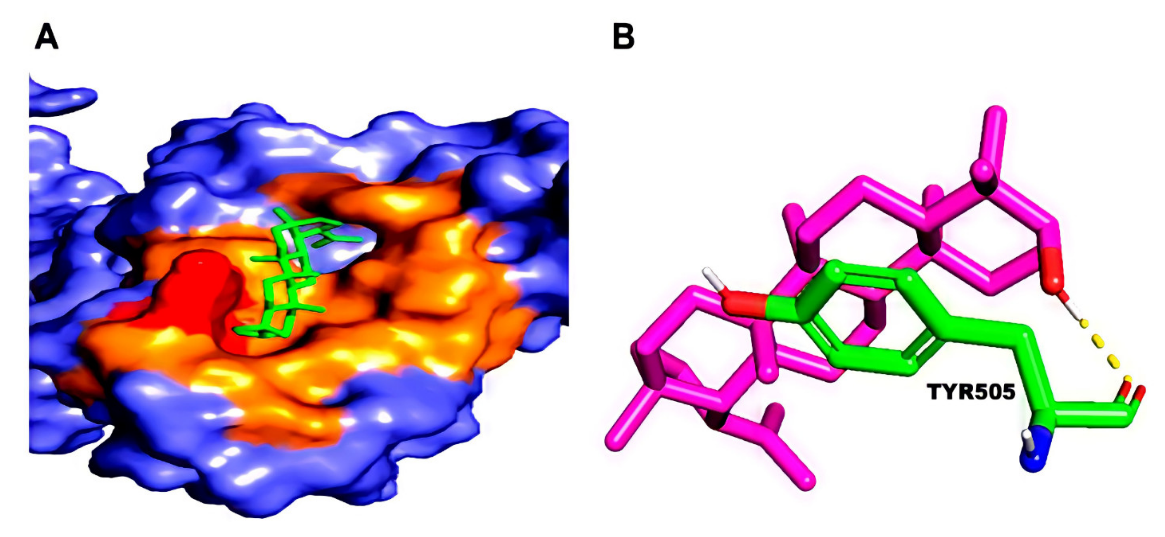 Molecules 27 01773 g005 Molecules 27 01773 g005