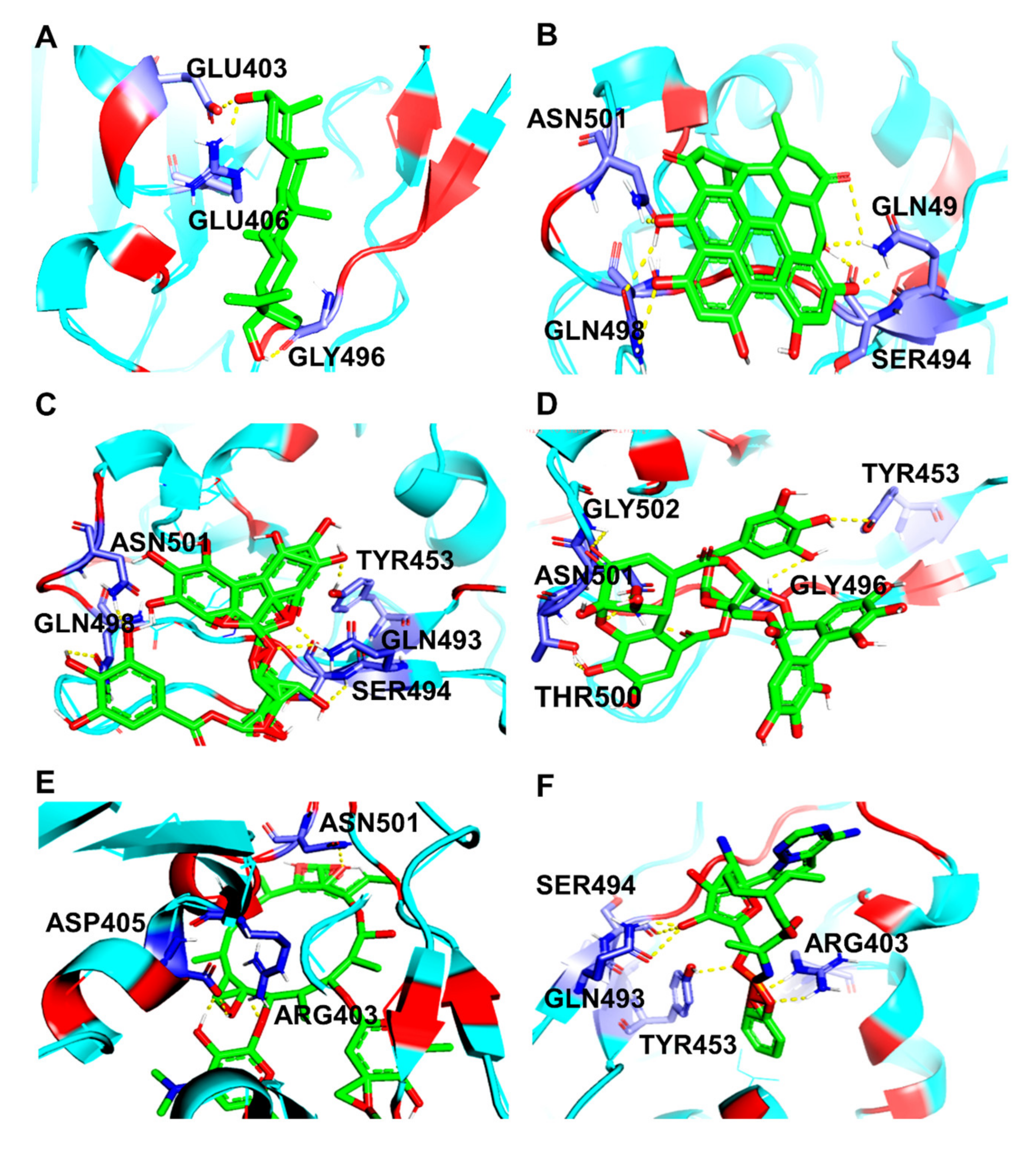 Molecules 27 01773 g006 Molecules 27 01773 g006