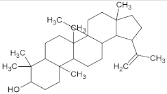 Molecules 27 01773 i001 Molecules 27 01773 i001