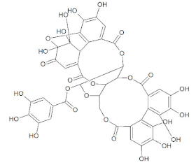 Molecules 27 01773 i005 Molecules 27 01773 i005