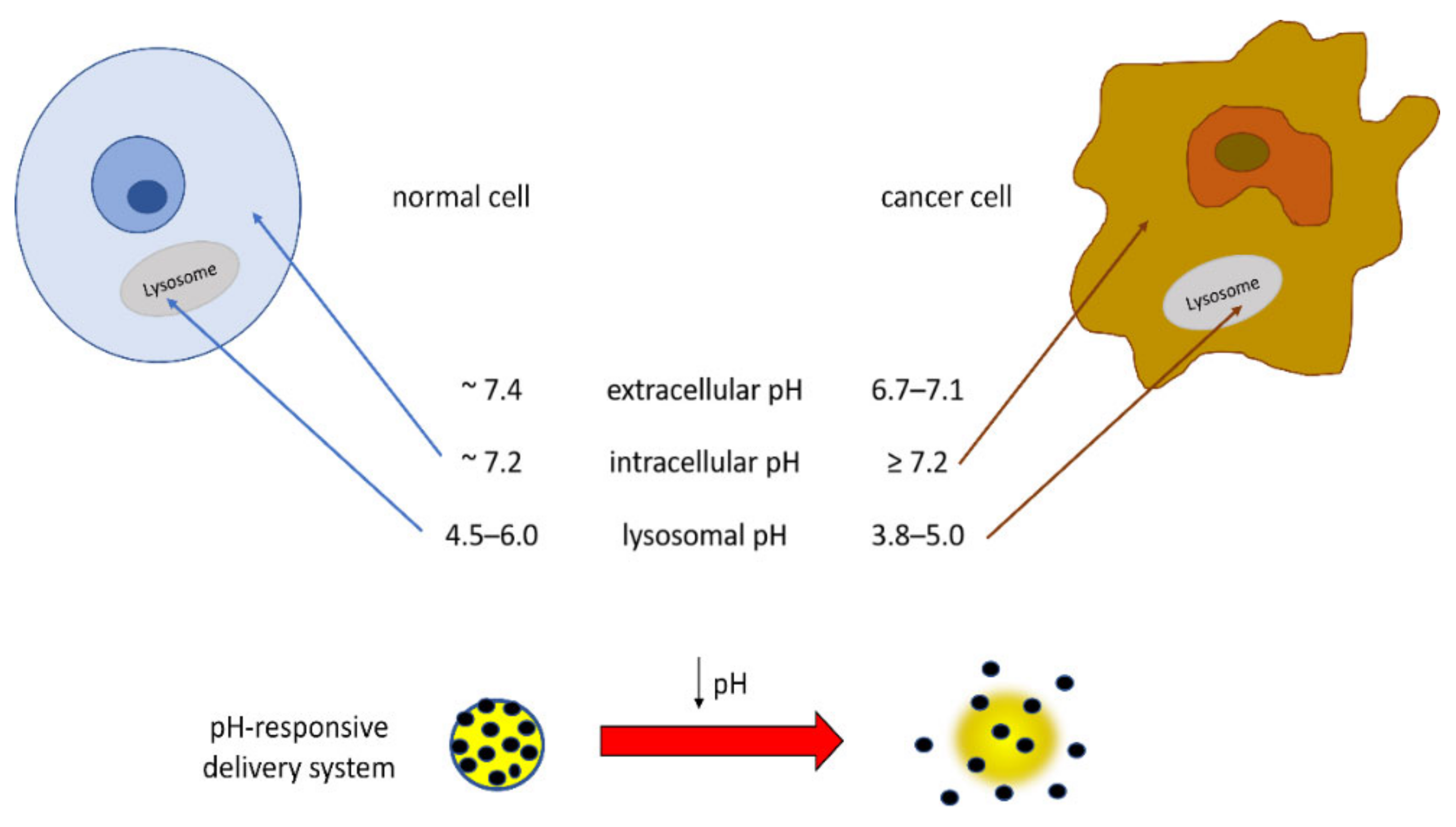Molecules 27 01775 g004 550
