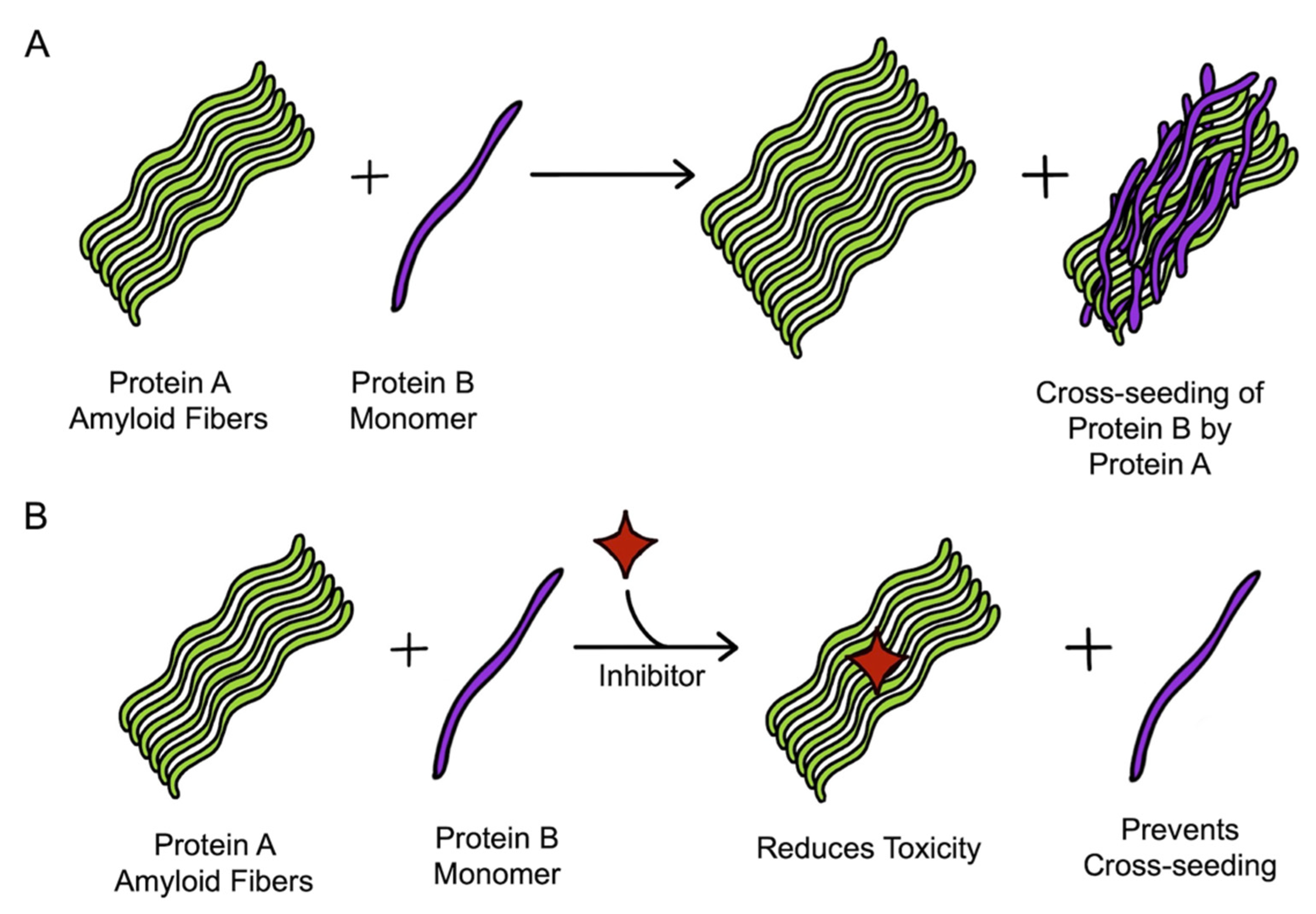 Molecules 27 01776 g007