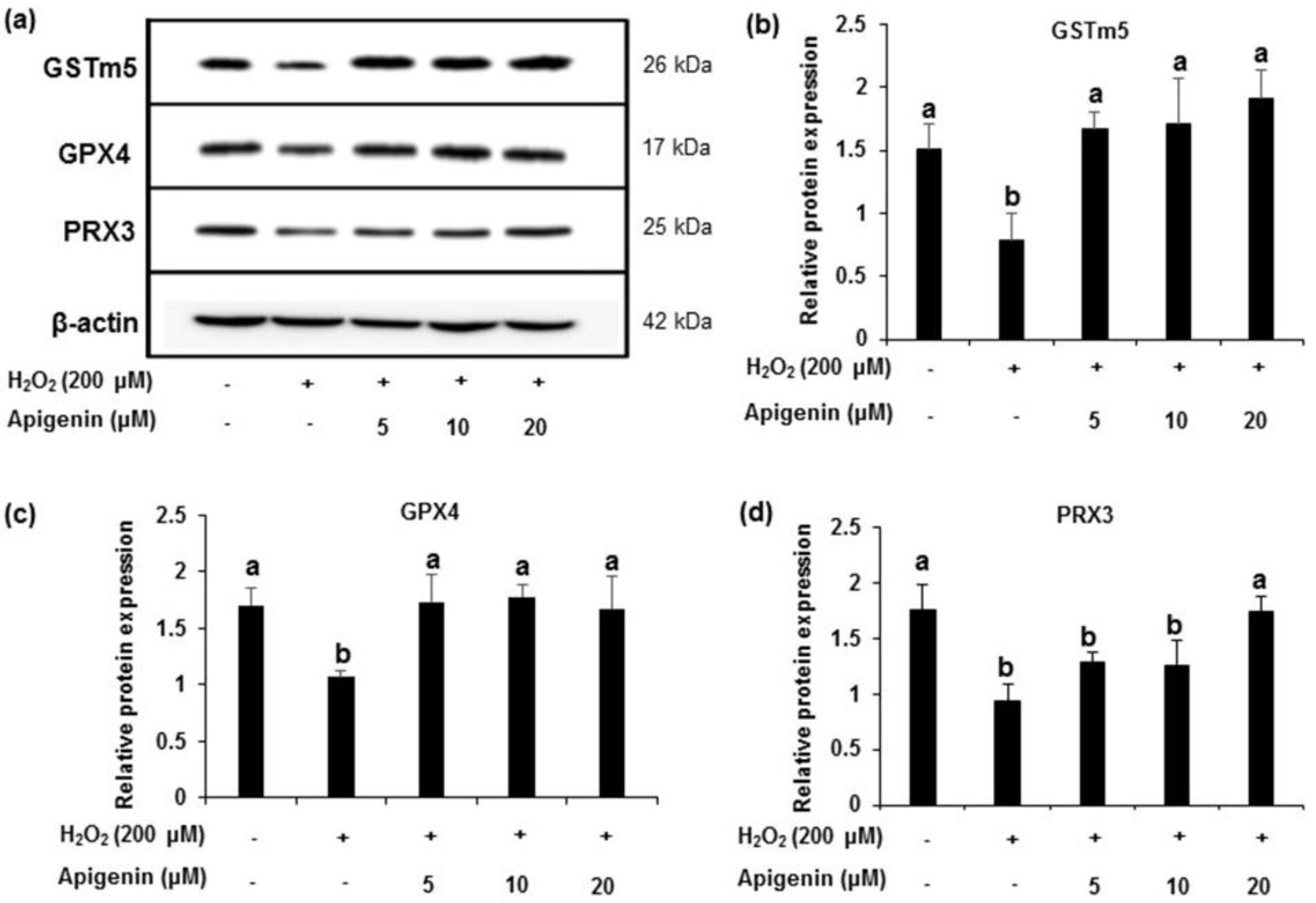 Molecules 27 01777 g004 Molecules 27 01777 g004