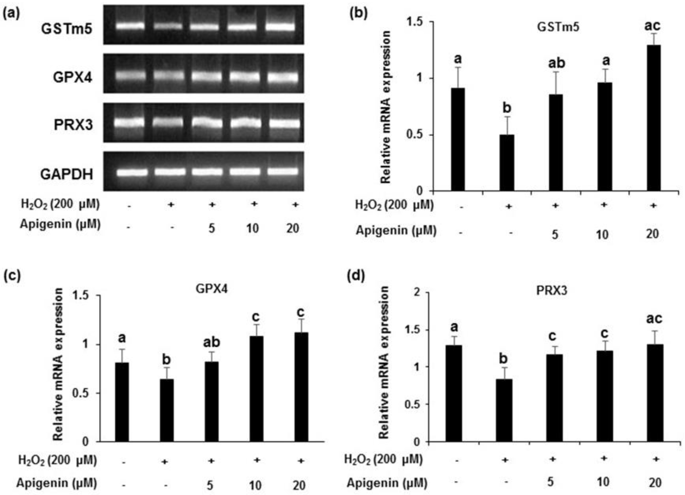 Molecules 27 01777 g005 Molecules 27 01777 g005