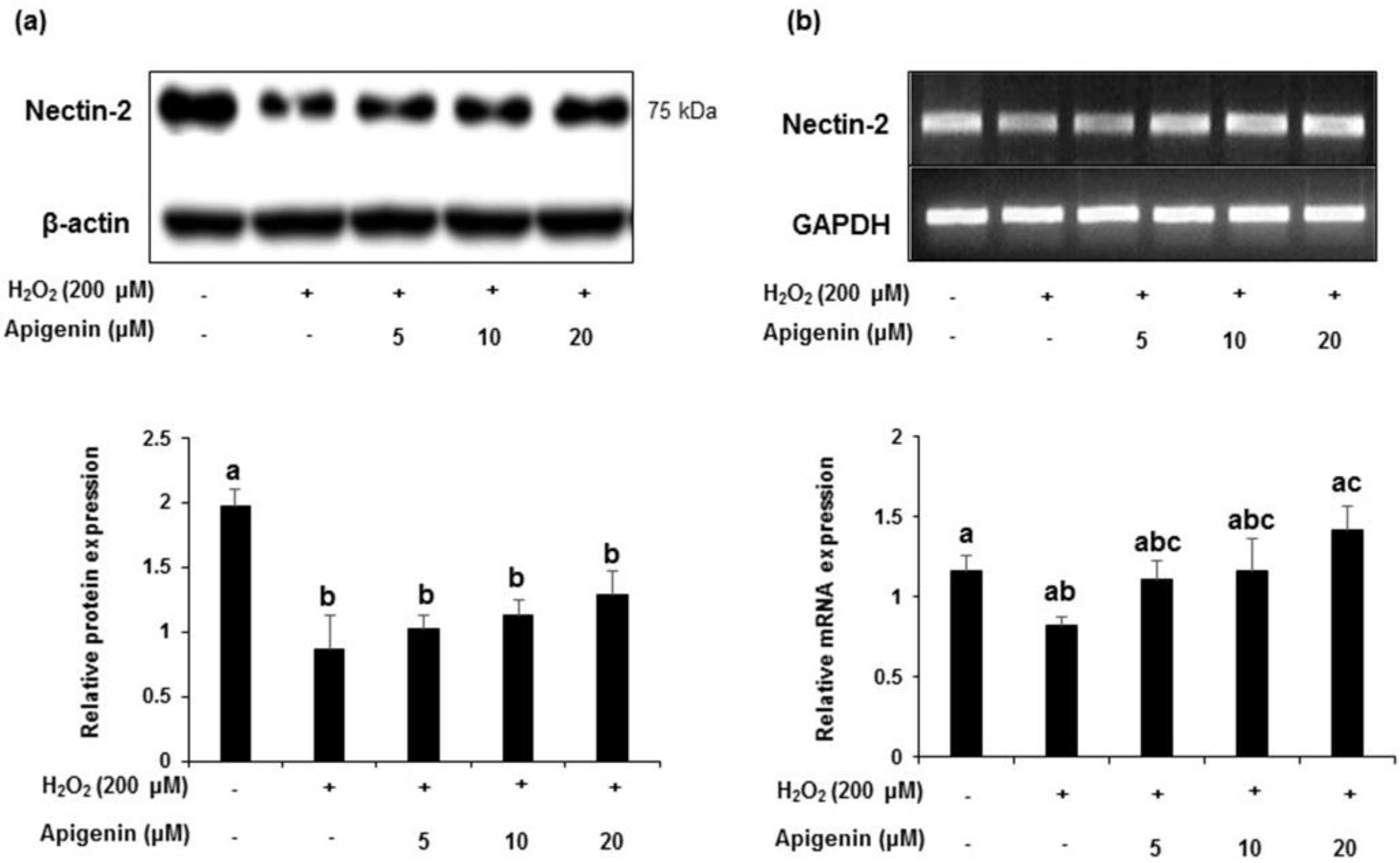 Molecules 27 01777 g006 Molecules 27 01777 g006