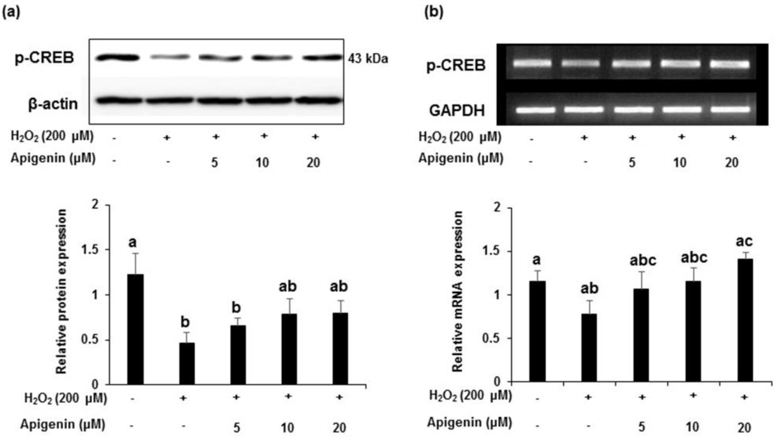 Molecules 27 01777 g007 Molecules 27 01777 g007
