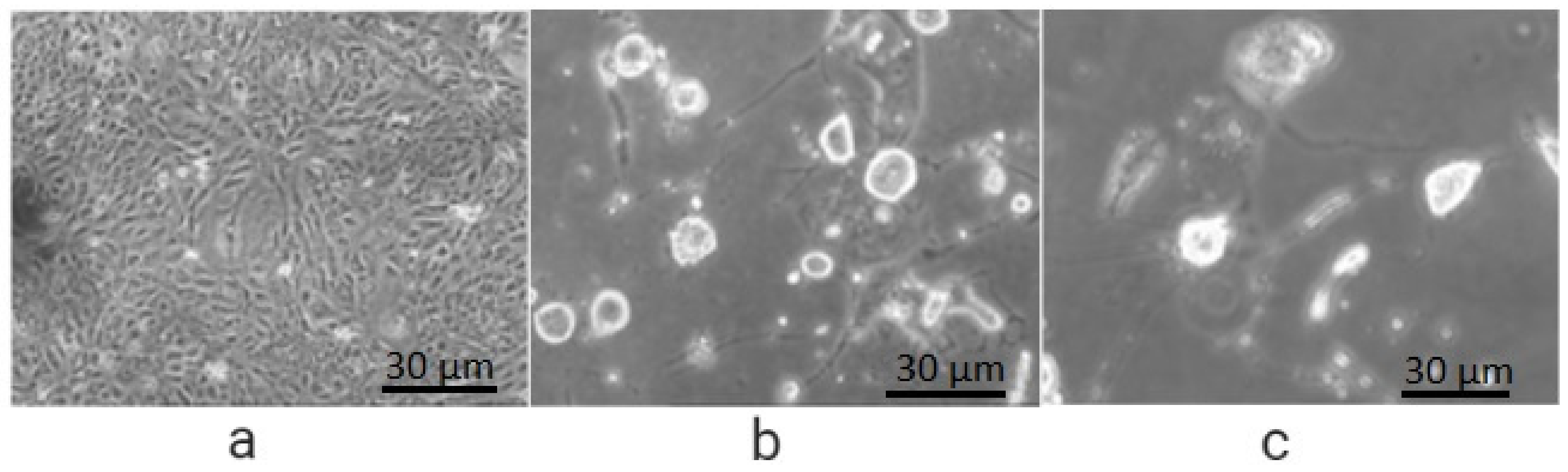 Molecules 27 01780 g003