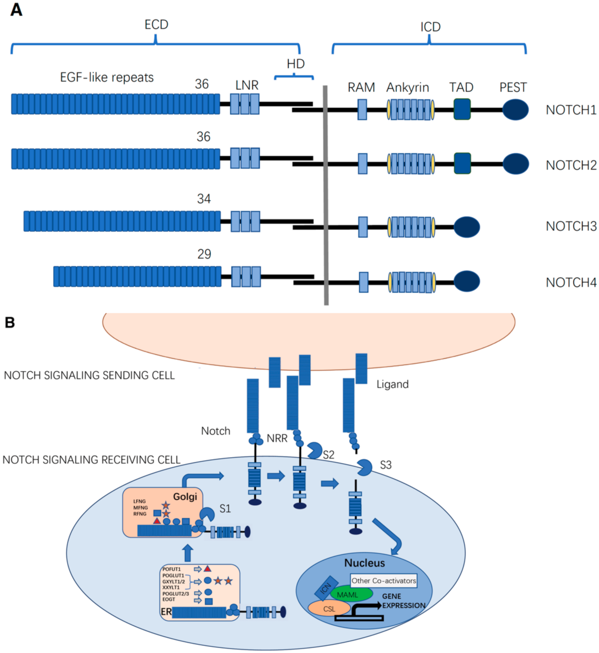 Molecules 27 01783 g001 Molecules 27 01783 g001