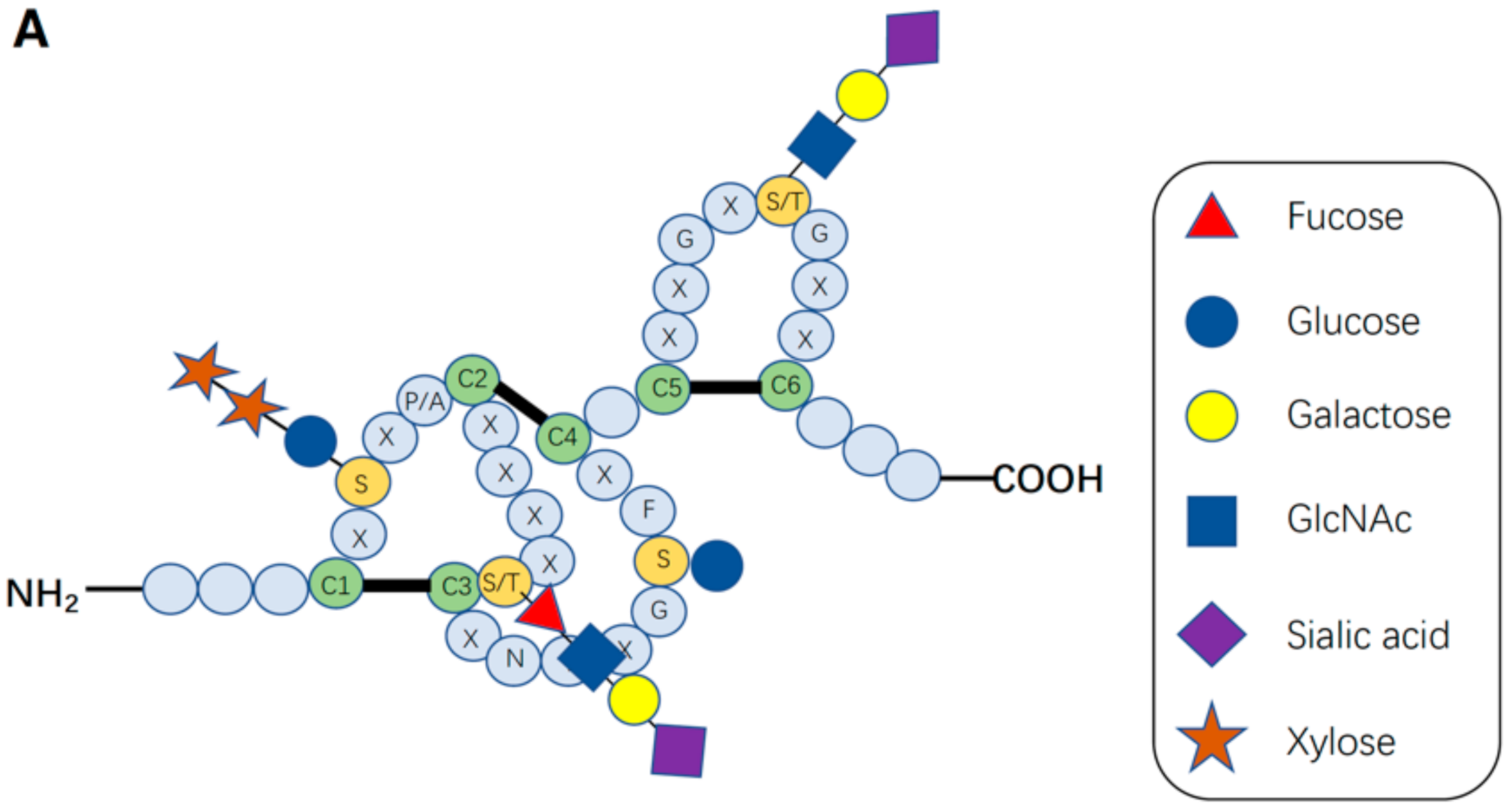 Molecules 27 01783 g002a Molecules 27 01783 g002a