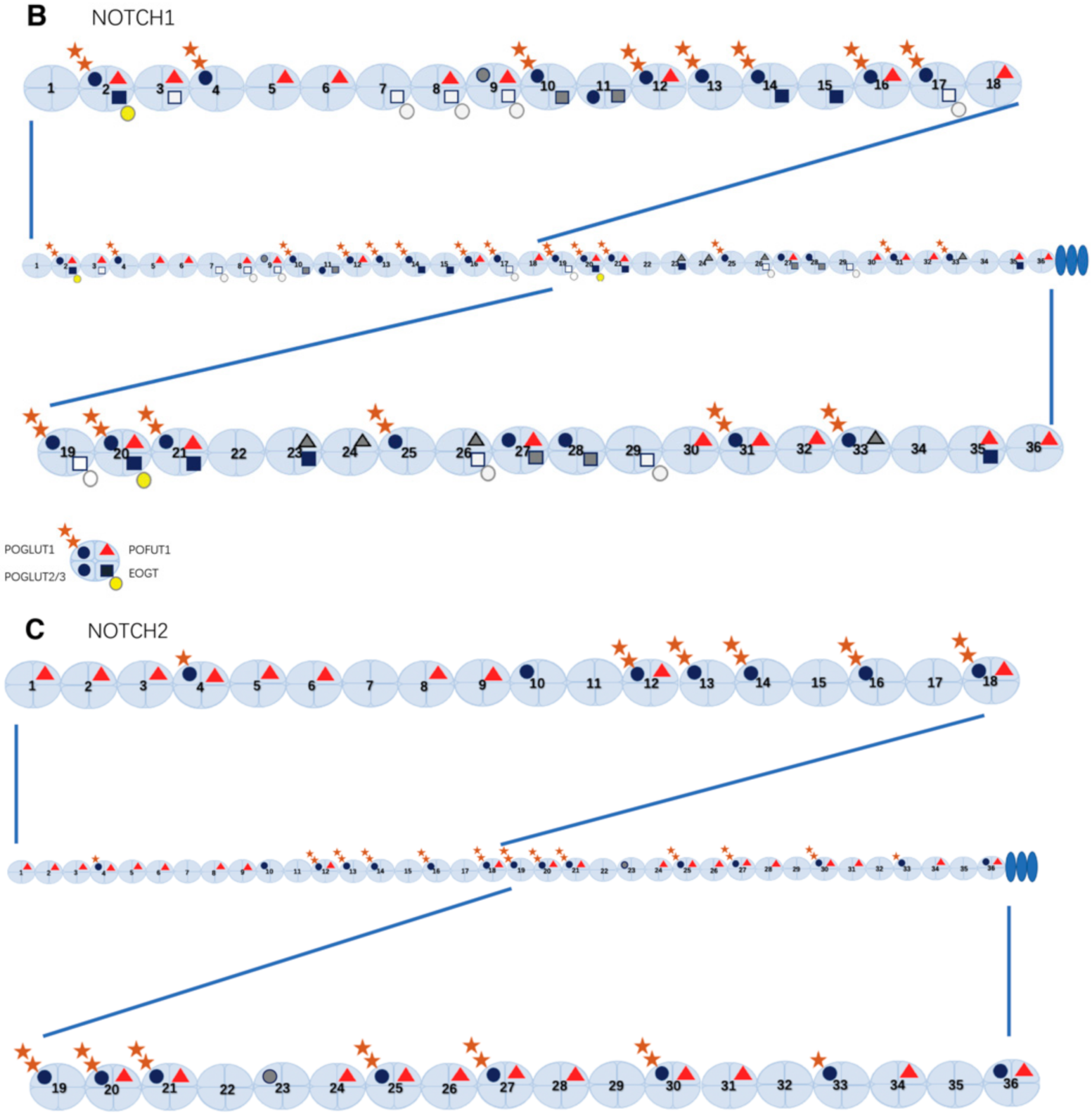 Molecules 27 01783 g002b Molecules 27 01783 g002b