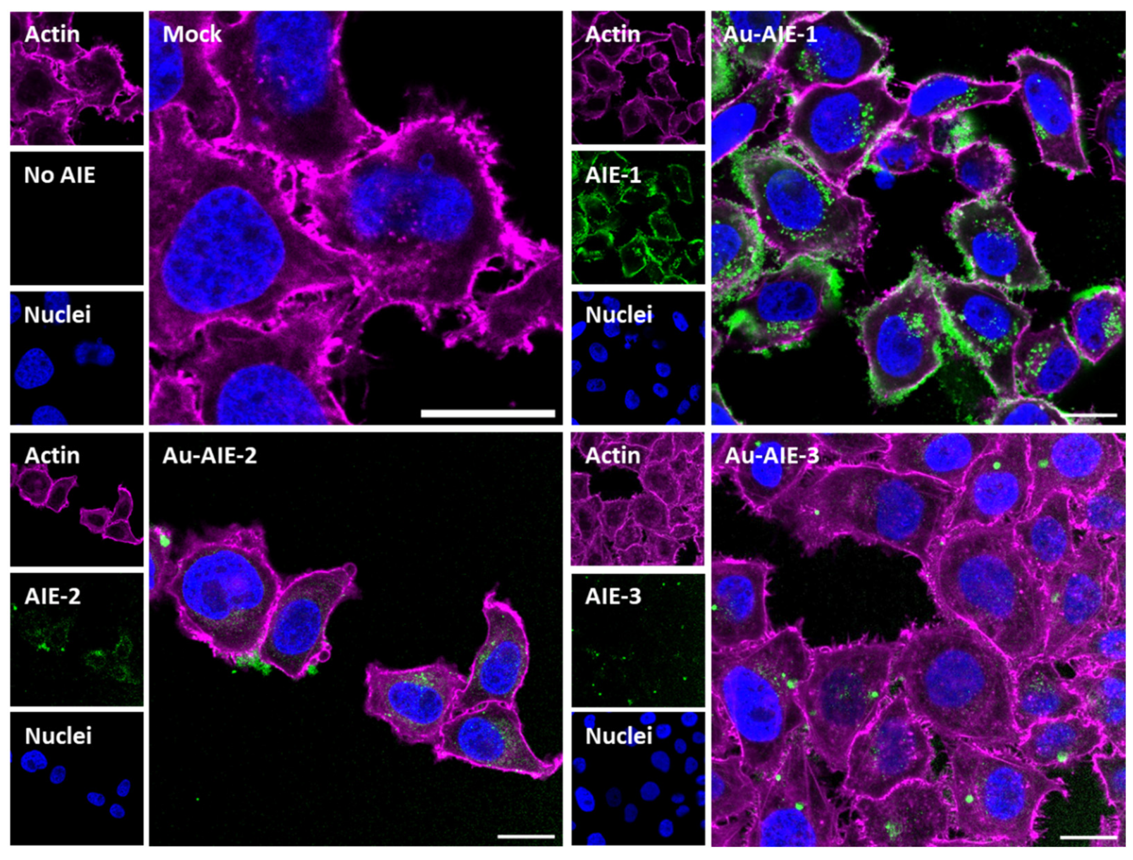 Molecules 27 01788 g004