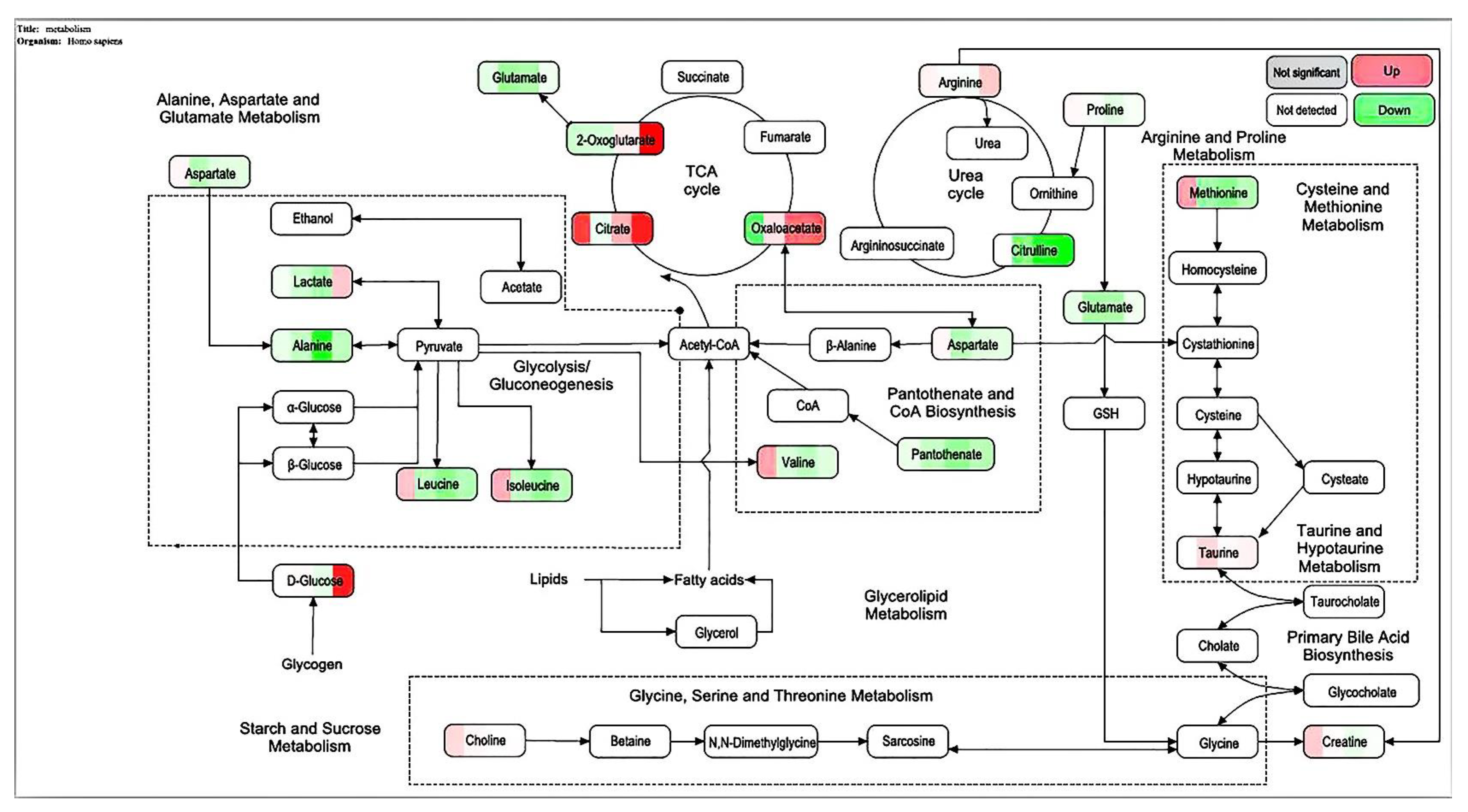 Molecules 27 01790 g010 550