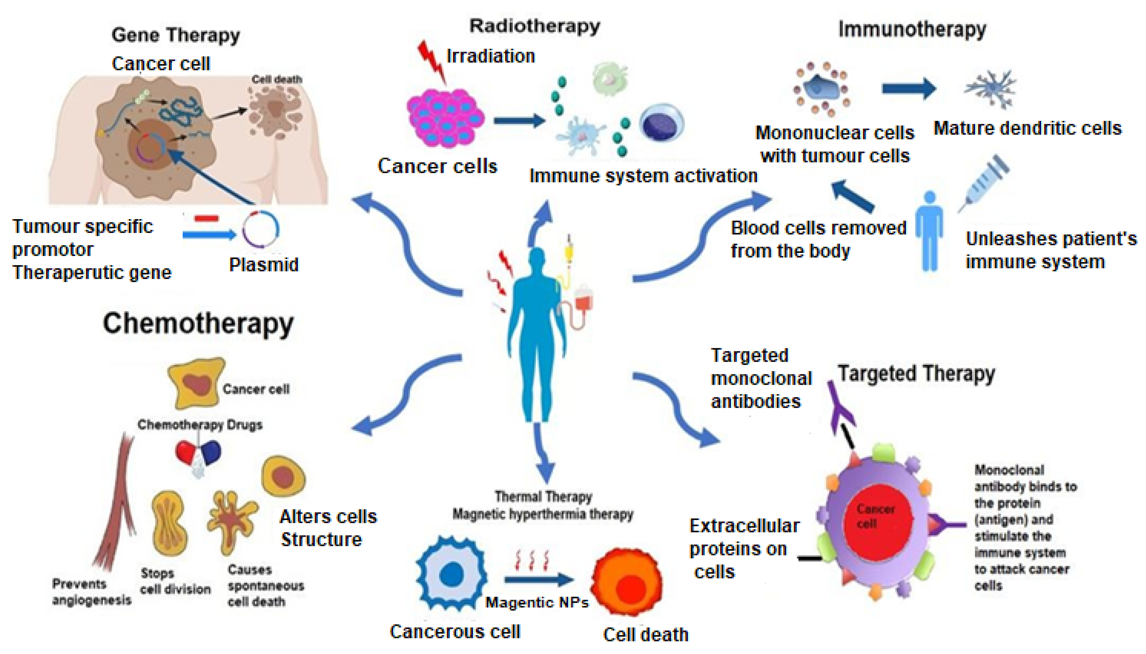 Molecules | Free Full-Text | Genesis and Mechanism of Some Cancer Types and an Overview on the Role of Diet and Nutrition in Cancer Prevention