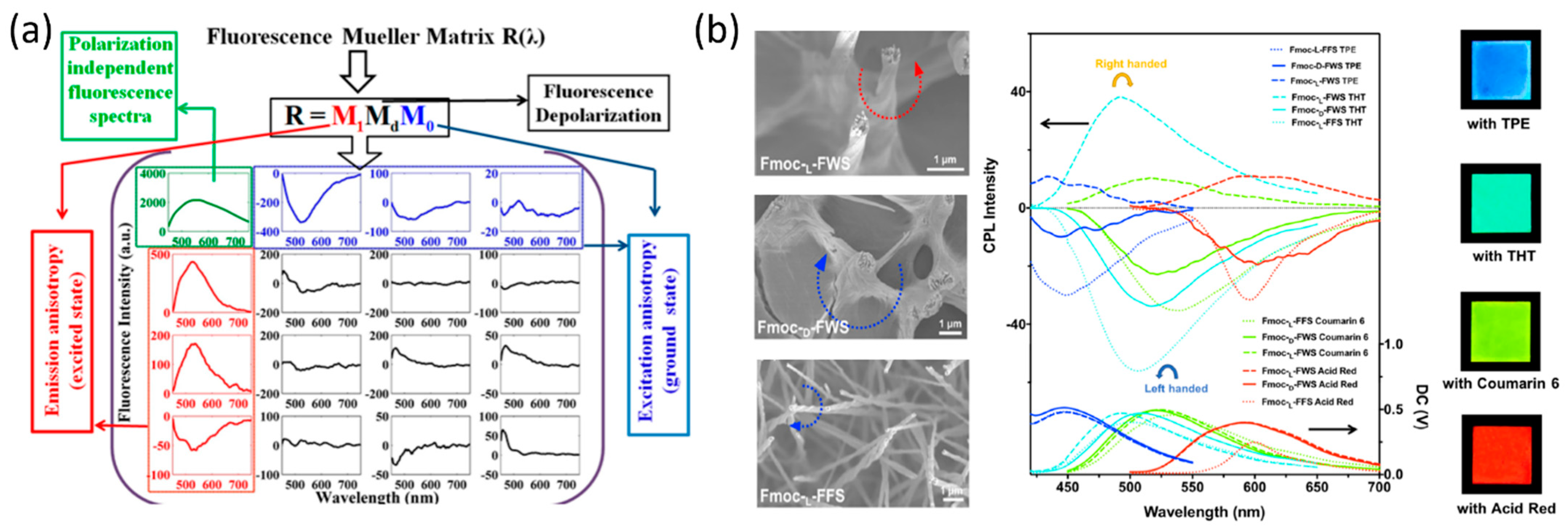 Molecules 27 01802 g005