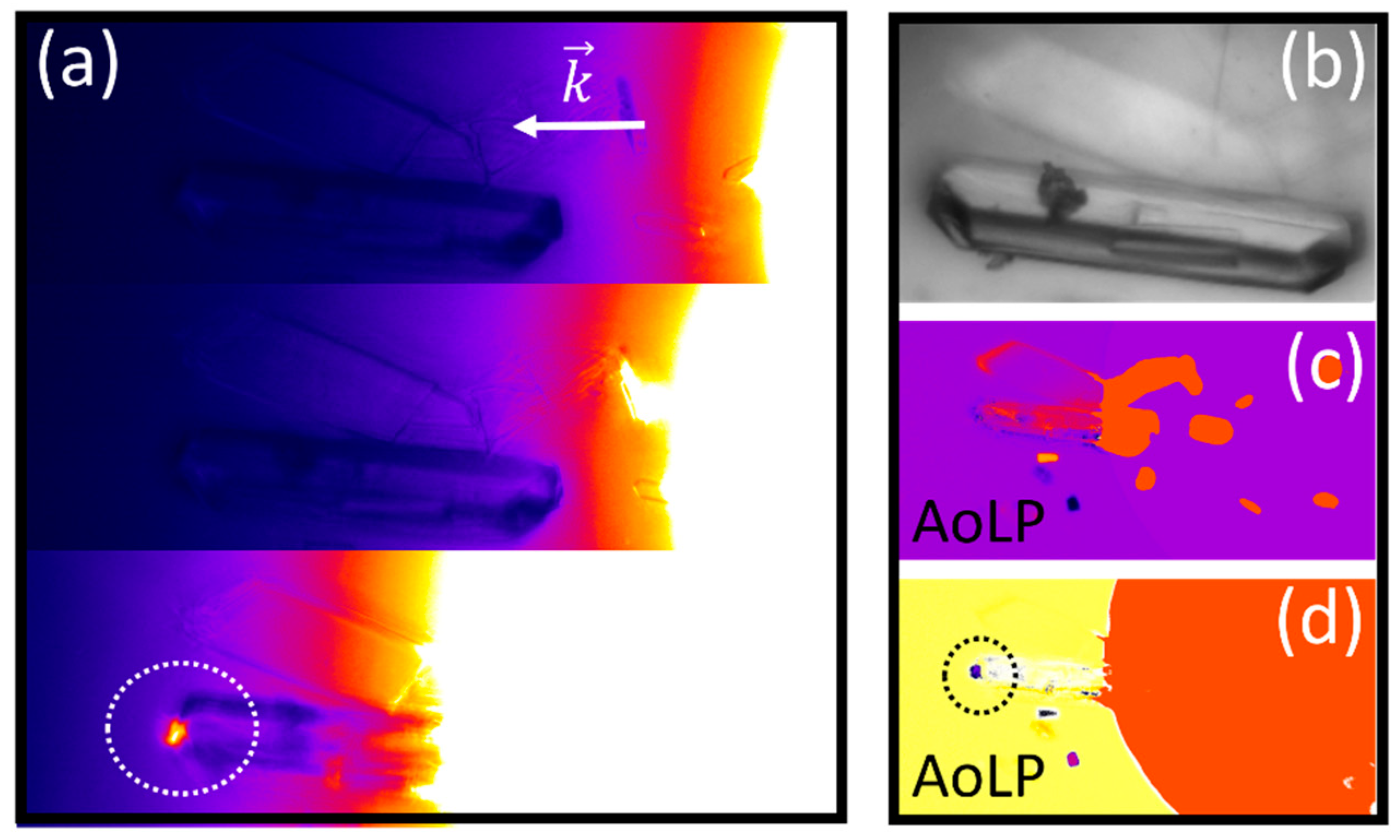 Molecules 27 01802 g006
