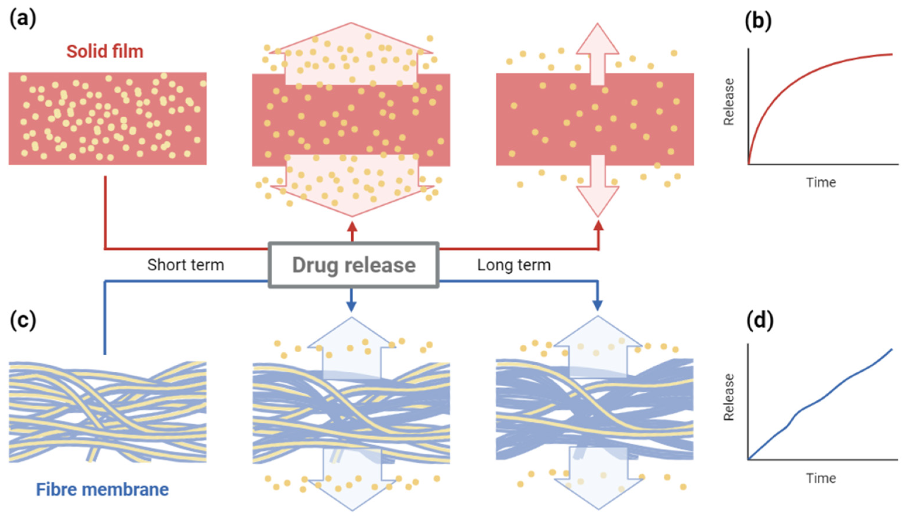 Molecules 27 01803 g005