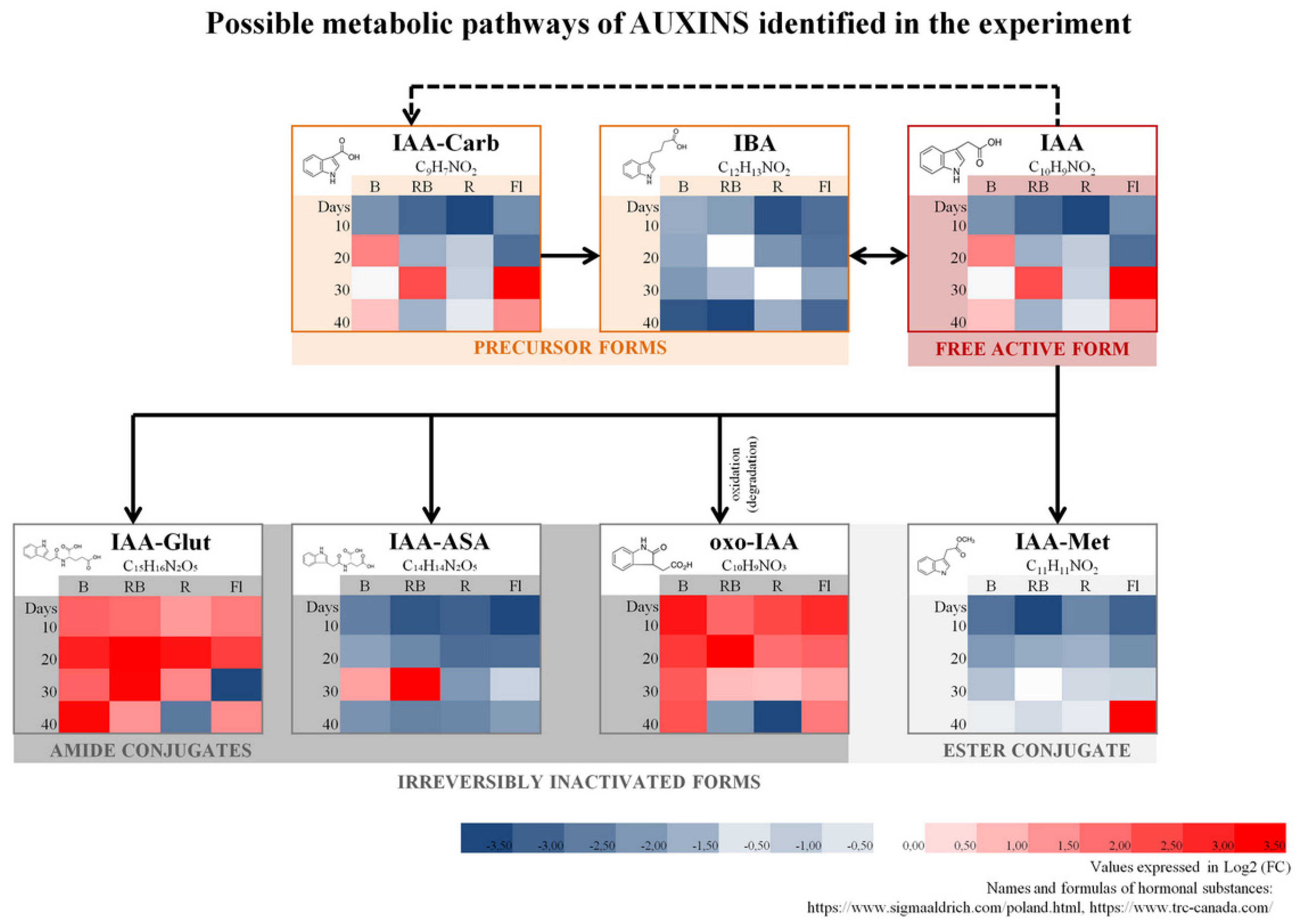 Molecules 27 01804 g004 Molecules 27 01804 g004