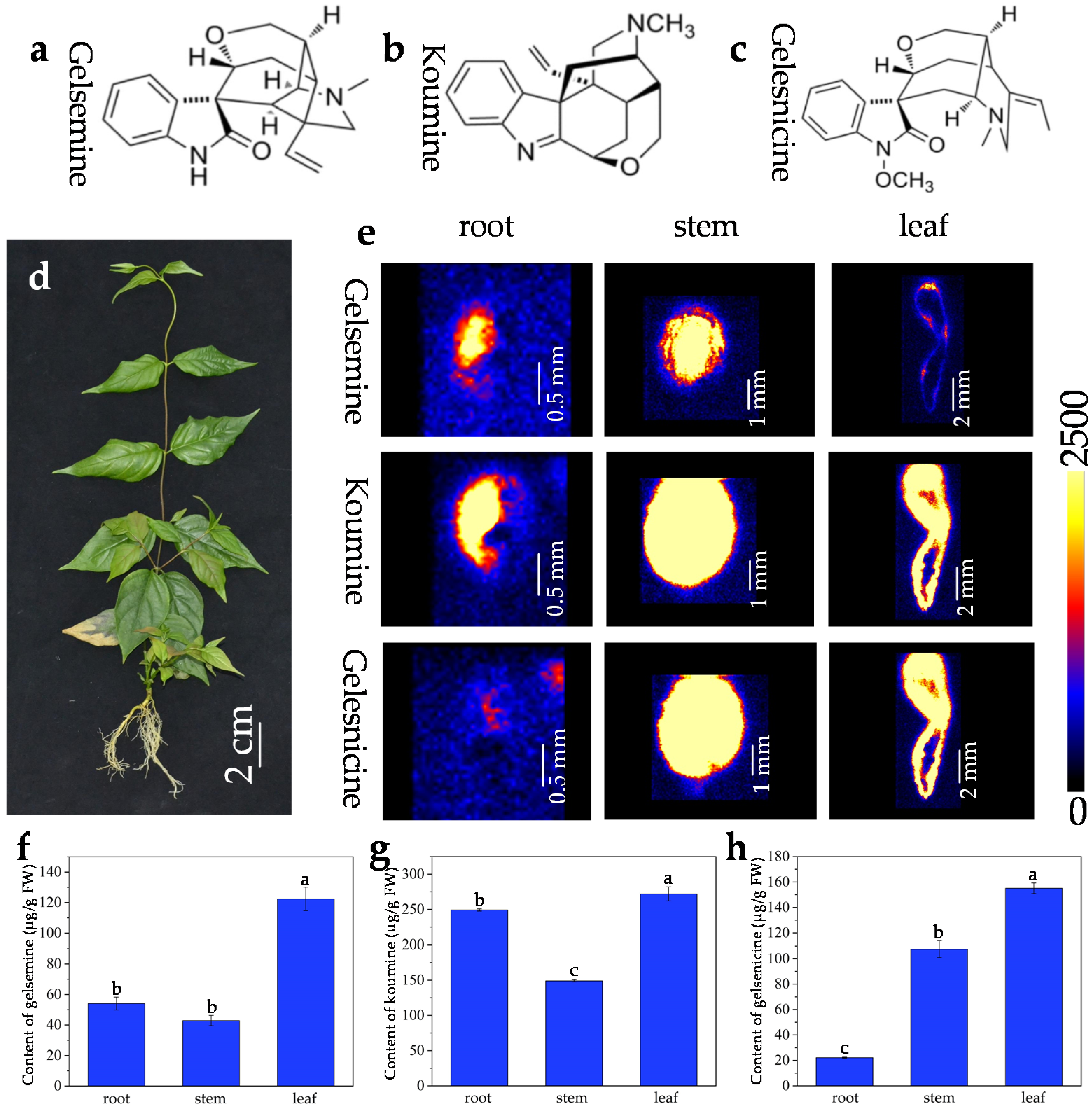 Molecules 27 01810 g001 550