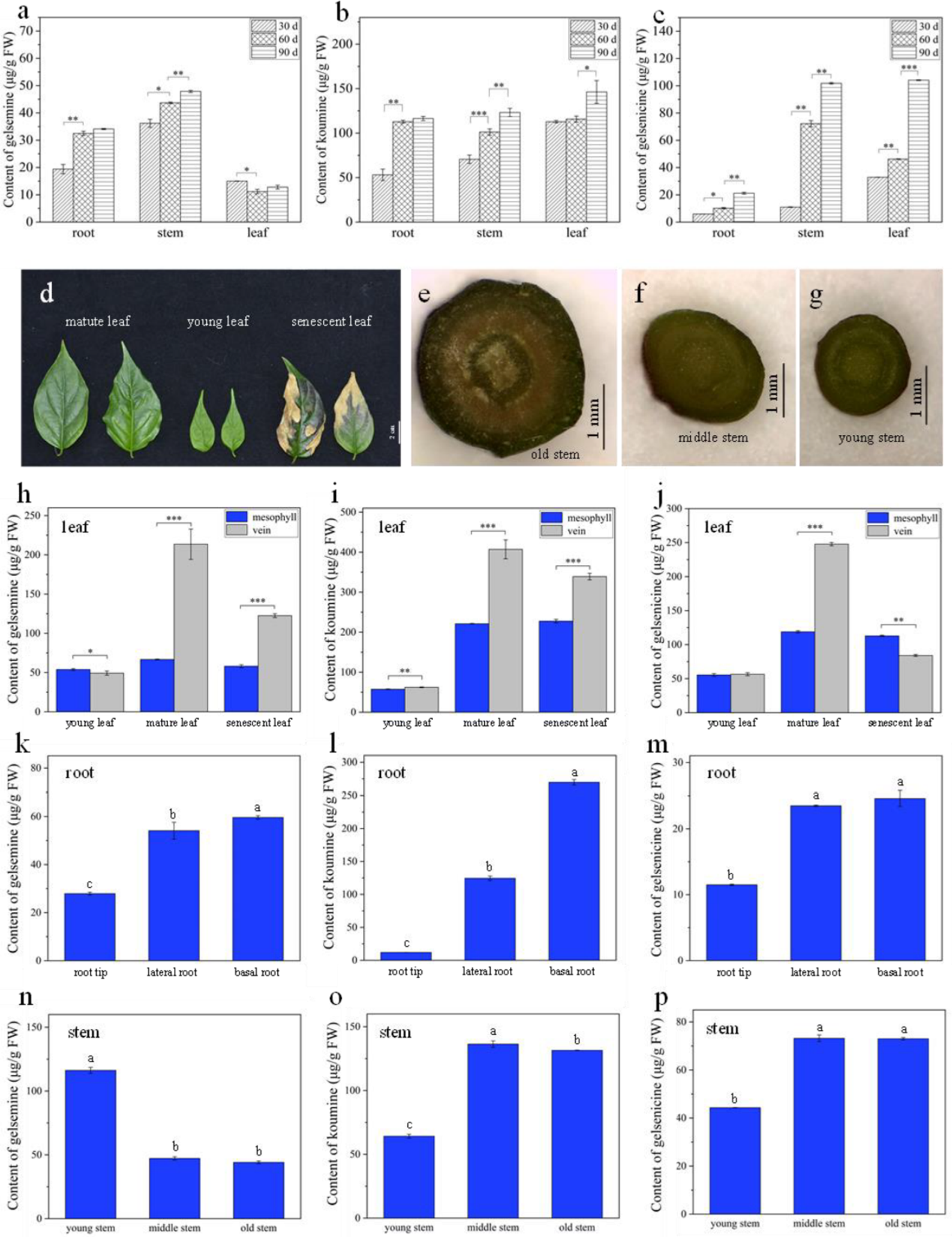 Molecules 27 01810 g004 550