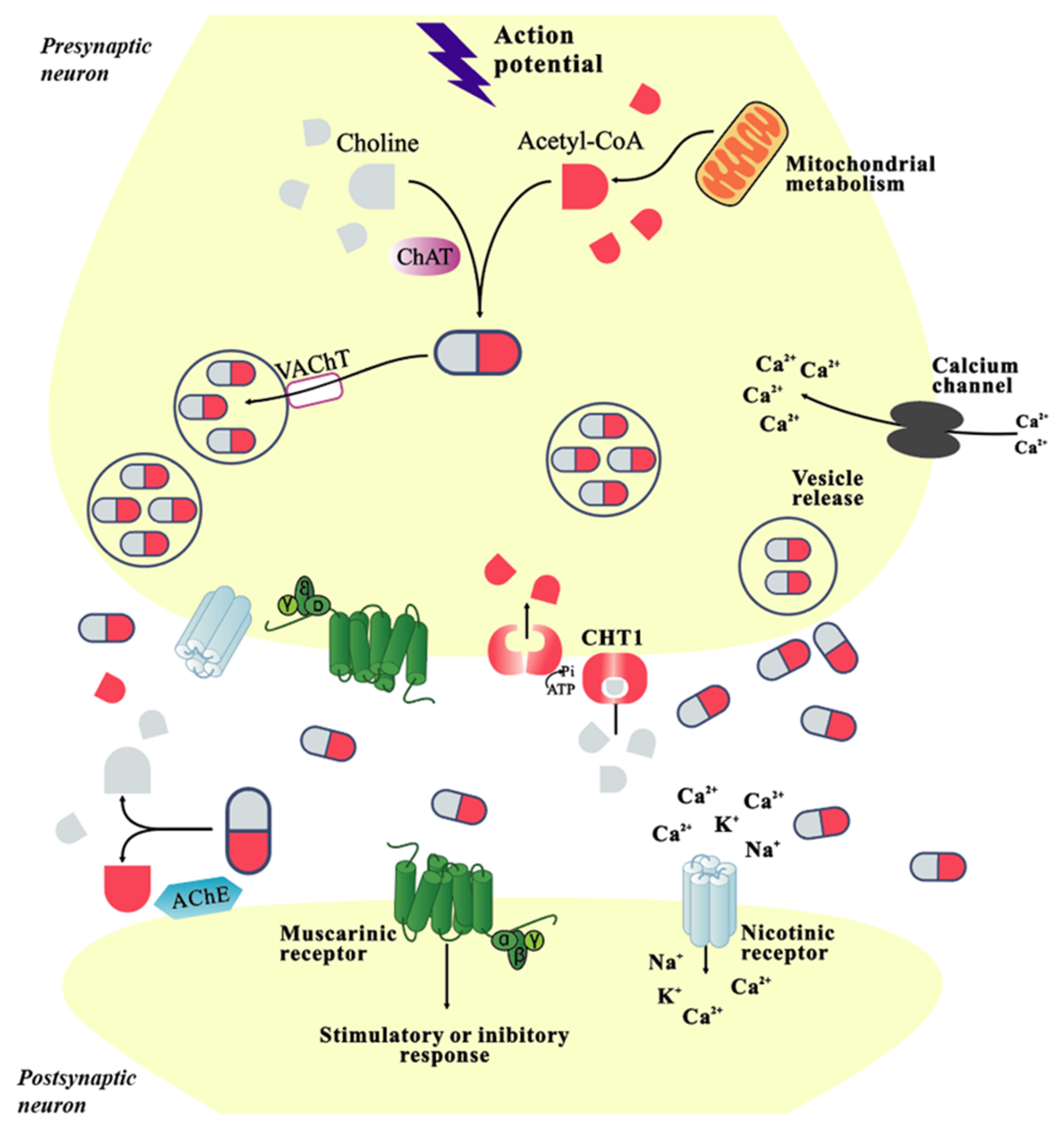 Molecules, Free Full-Text