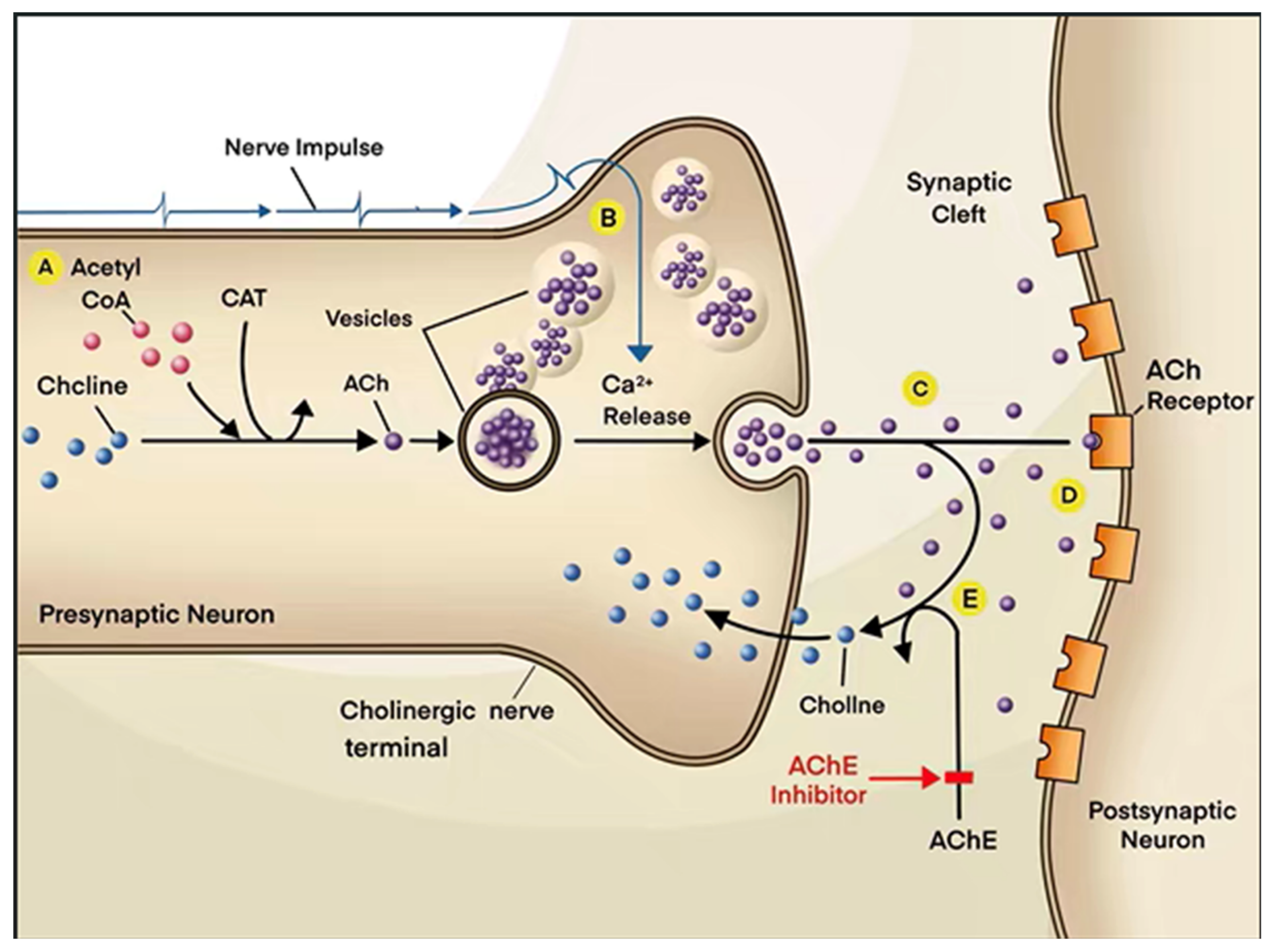 Molecules 27 01816 g002 Molecules 27 01816 g002