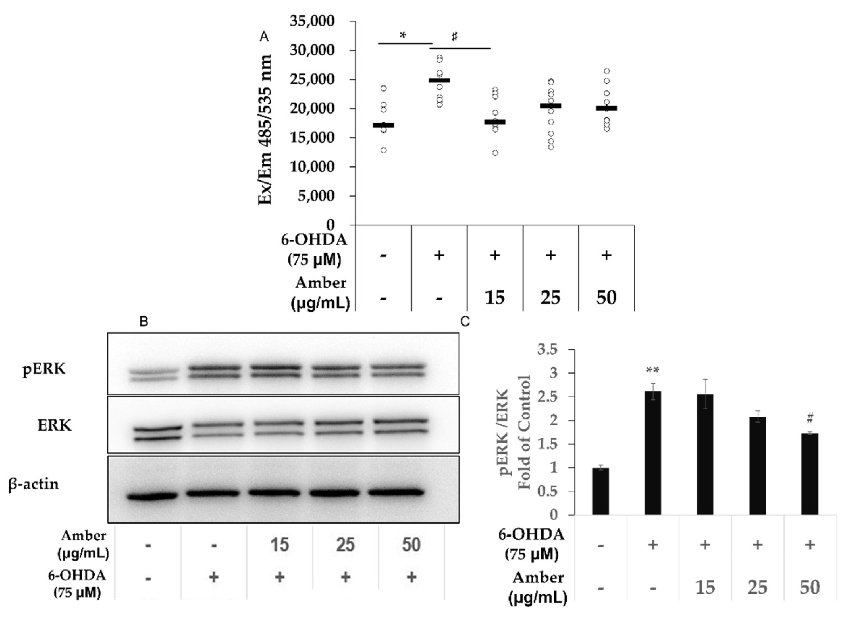 Molecules 27 01817 g003 550