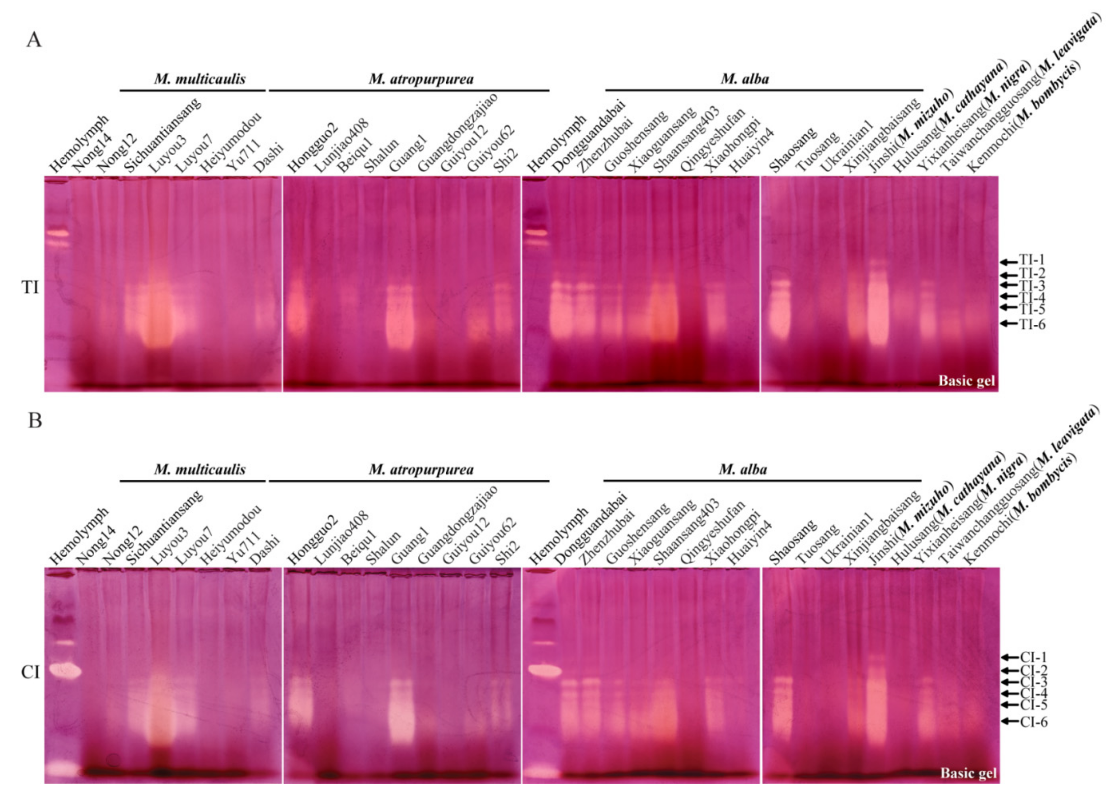 Molecules 27 01820 g002