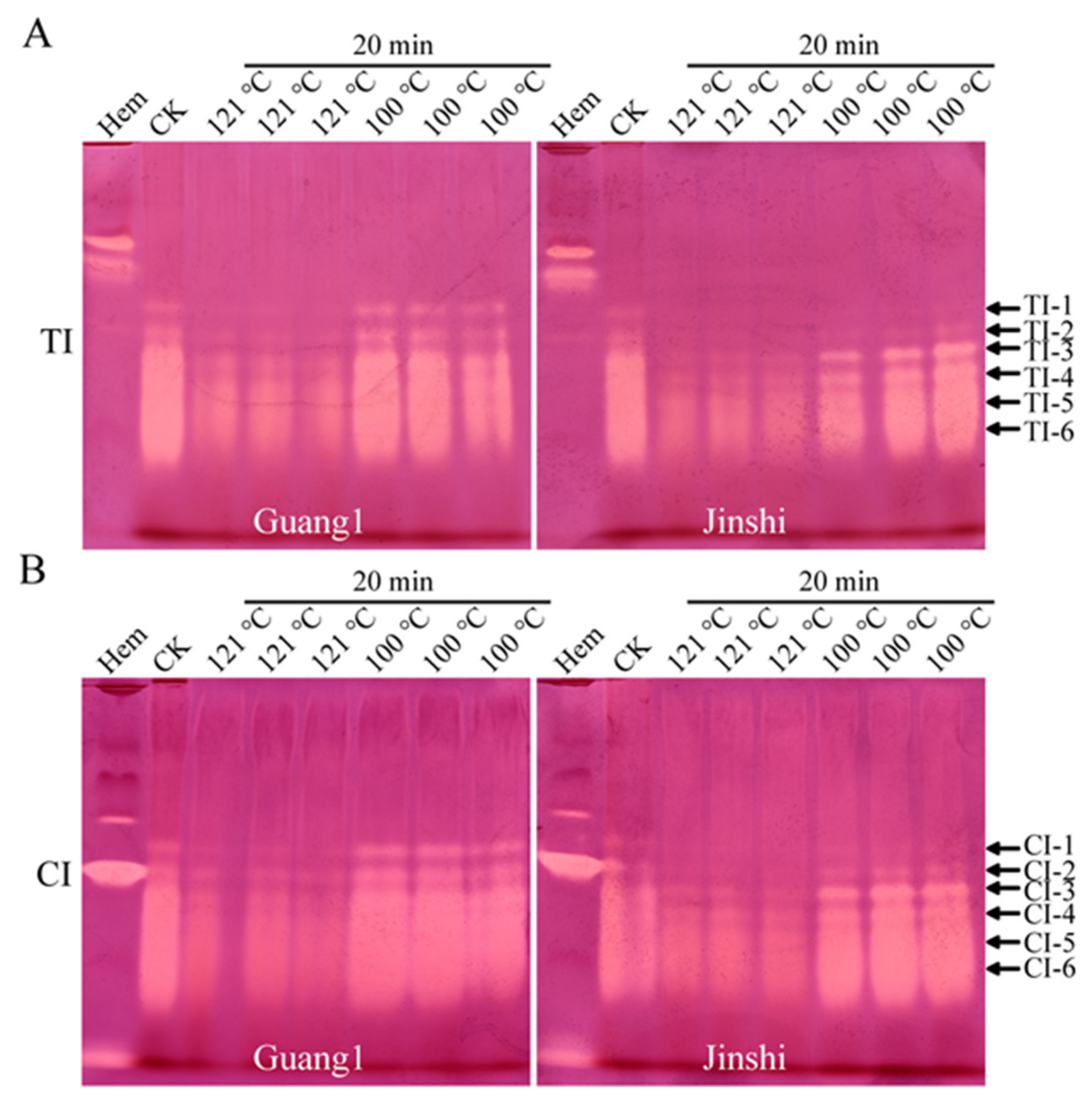 Molecules 27 01820 g004