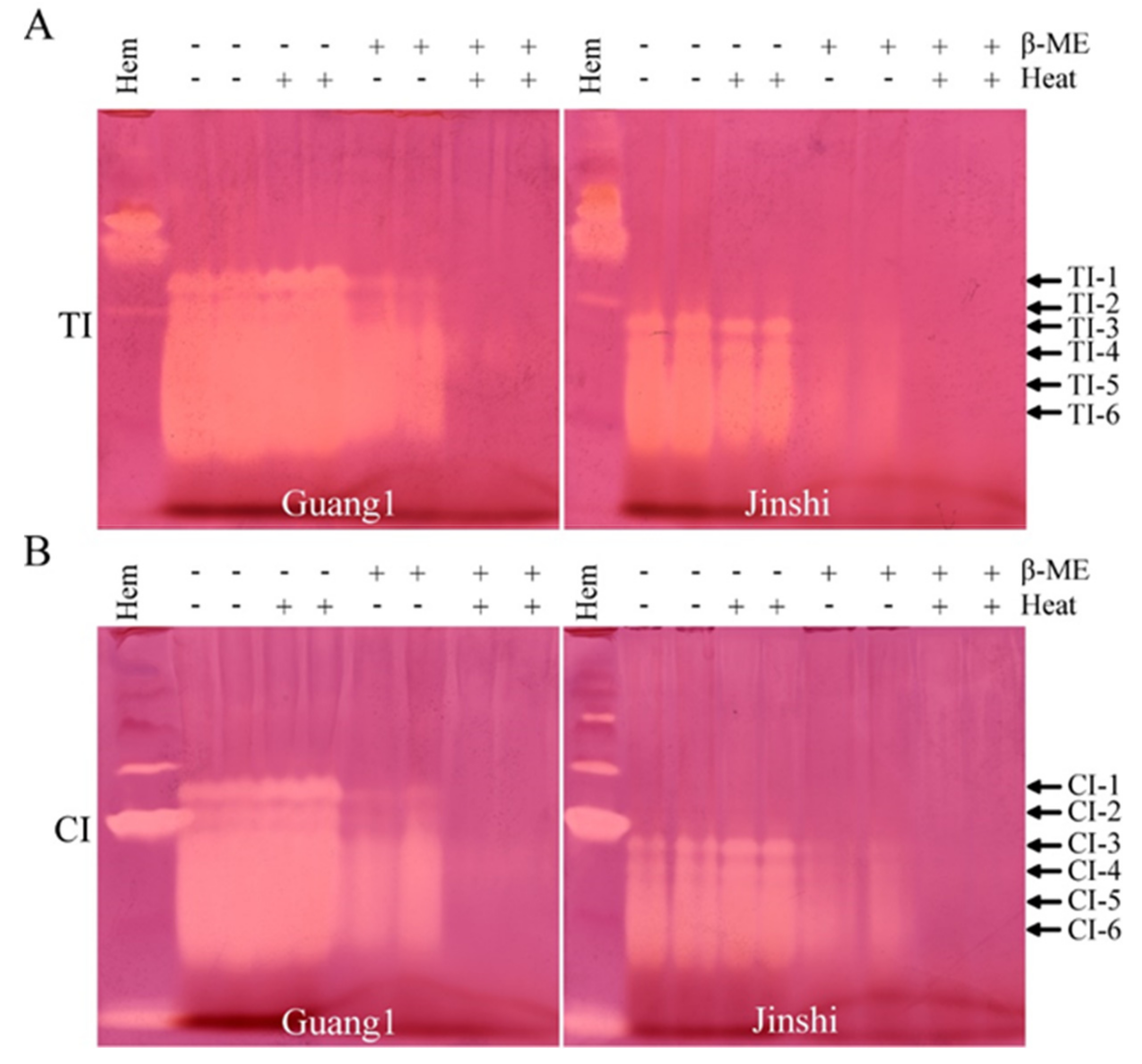 Molecules 27 01820 g005