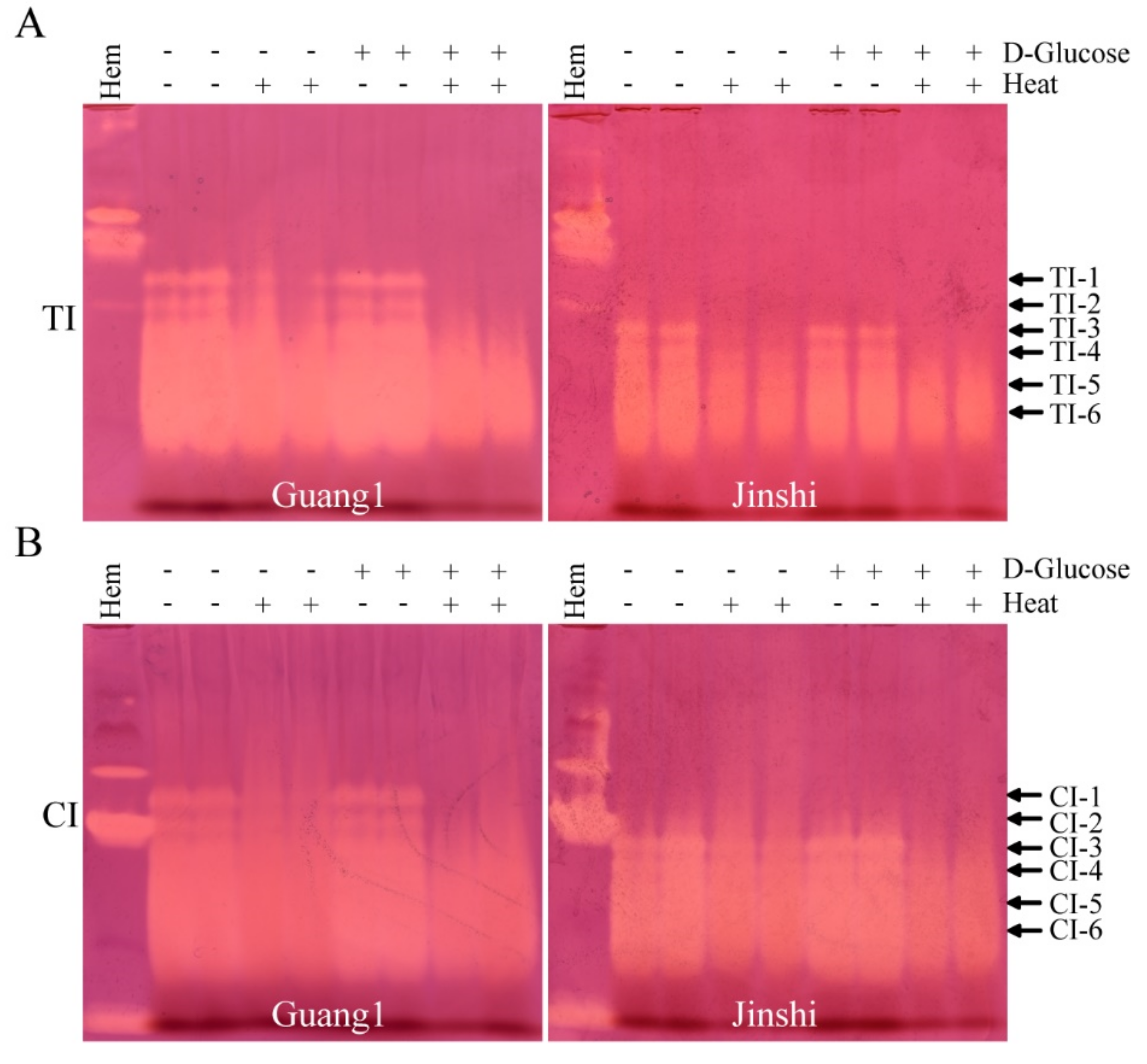 Molecules 27 01820 g006
