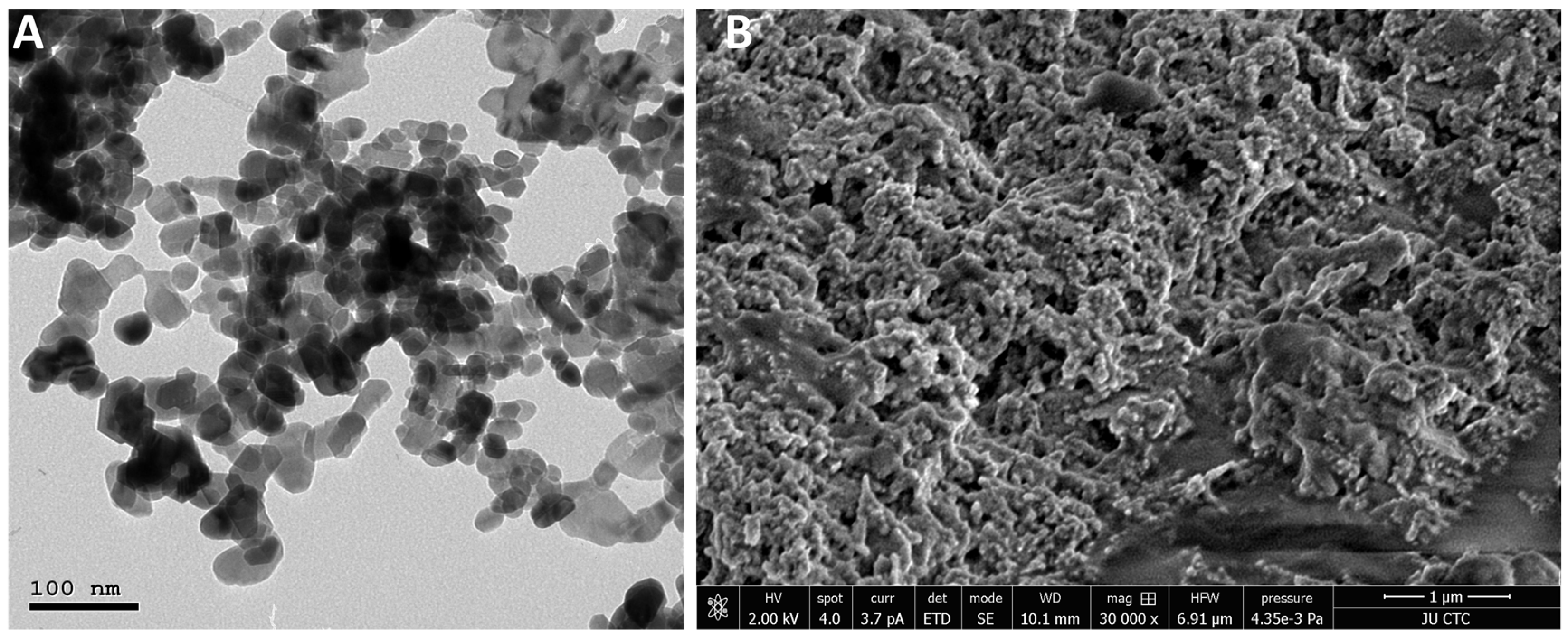 Molecules 27 01827 g003 550