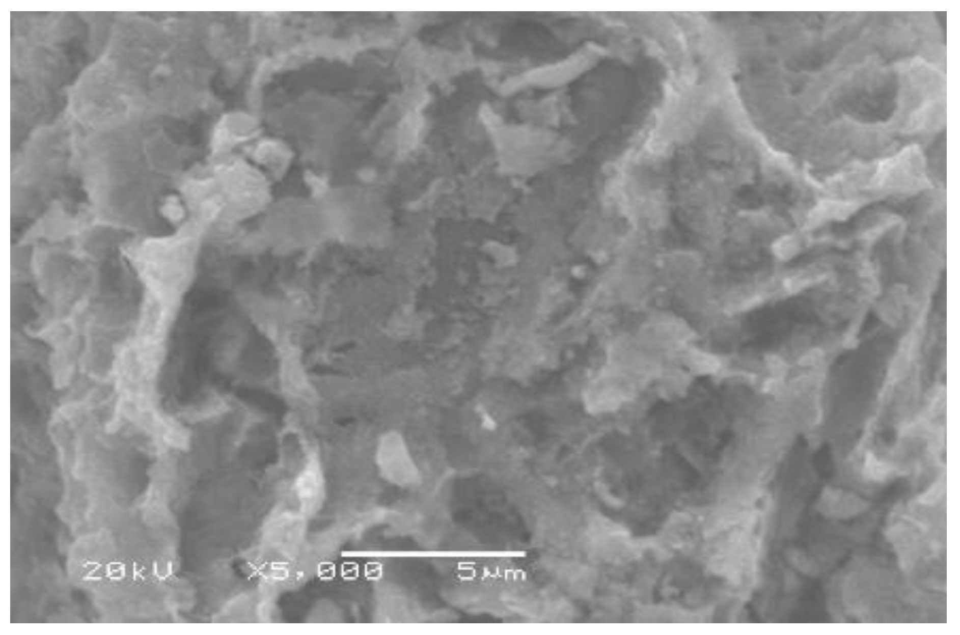 Molecules 27 01831 g003 550