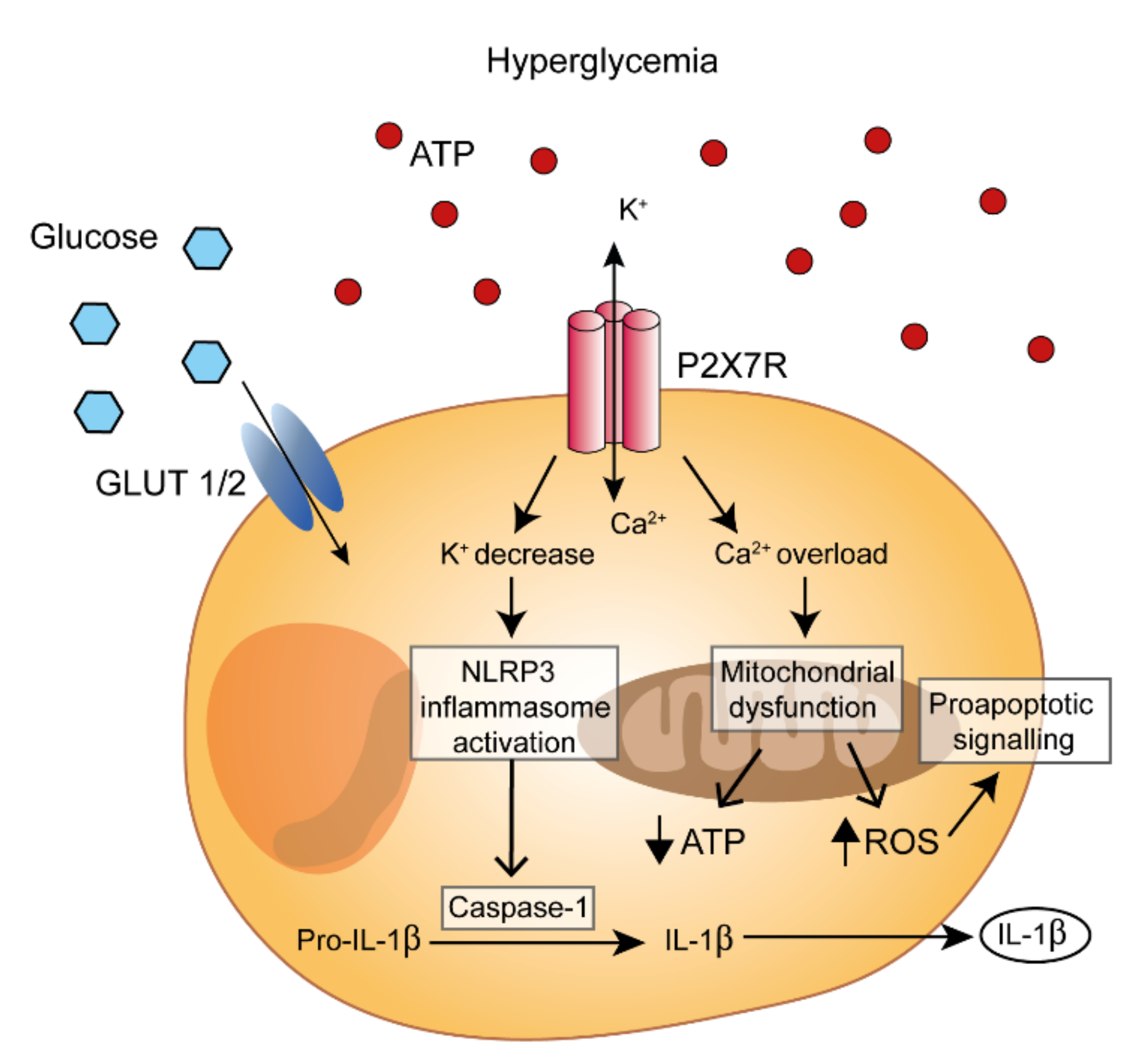 Molecules 27 01838 g001