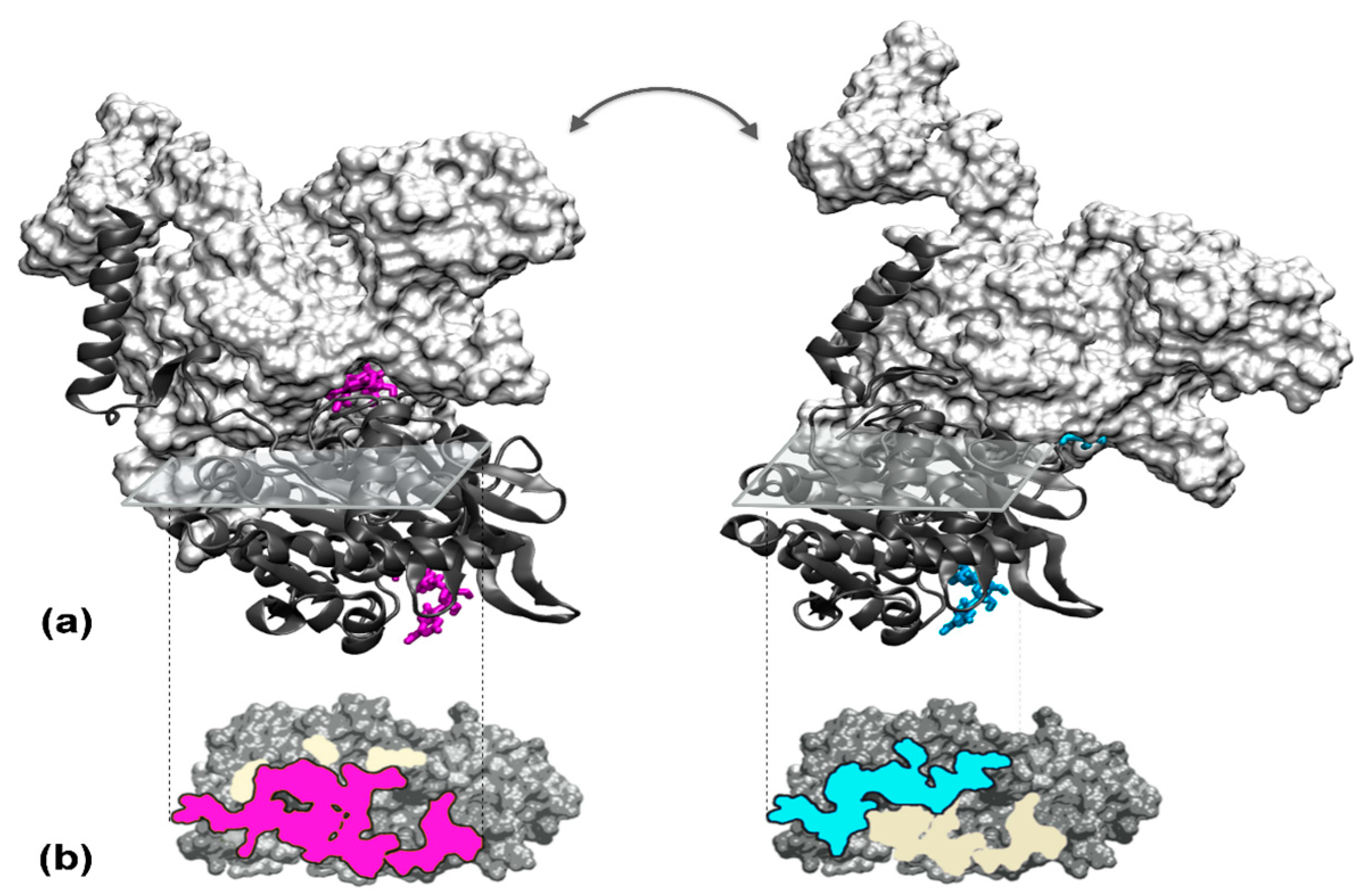Molecules 27 01841 g003