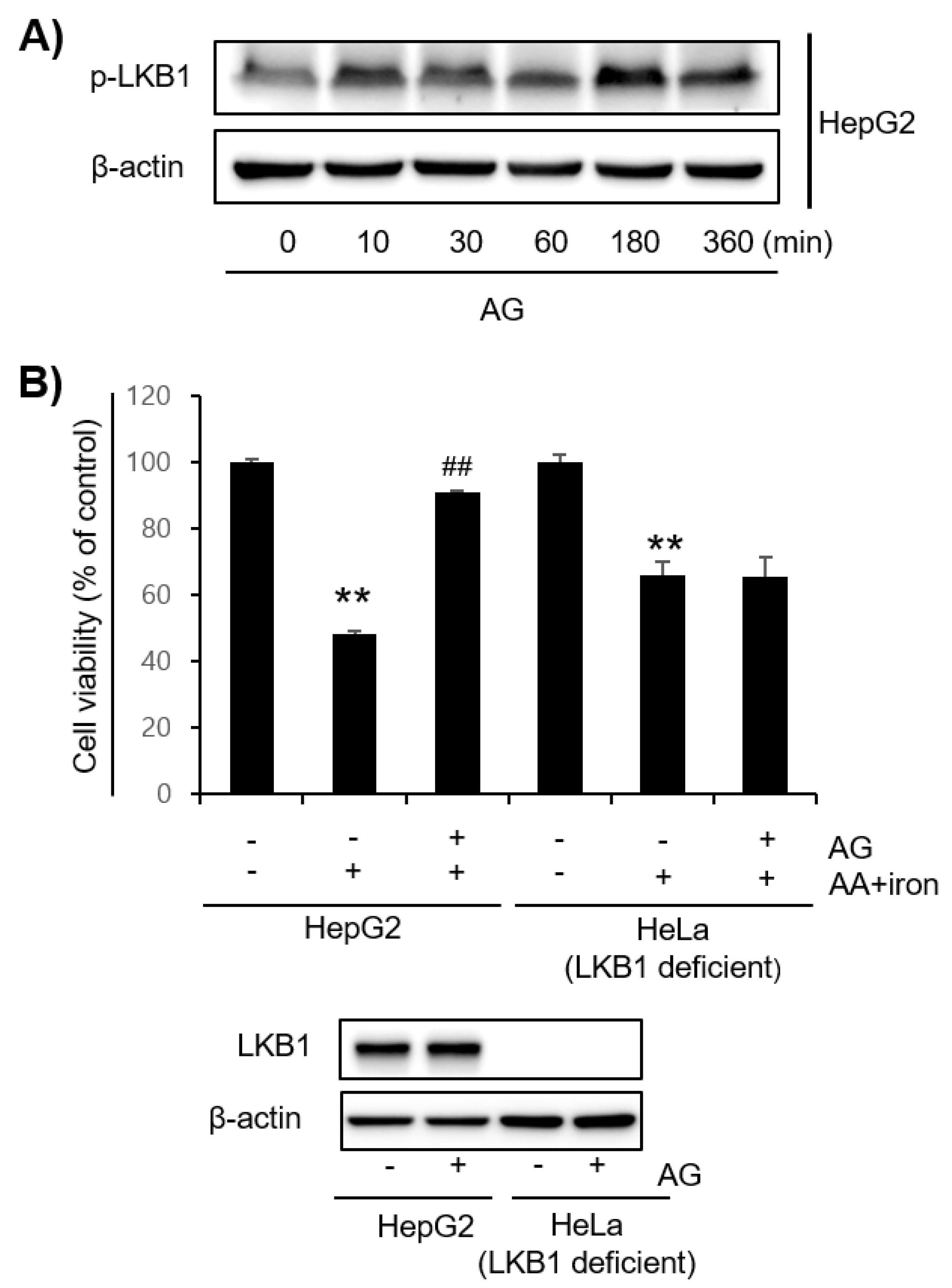 Molecules 27 01858 g004