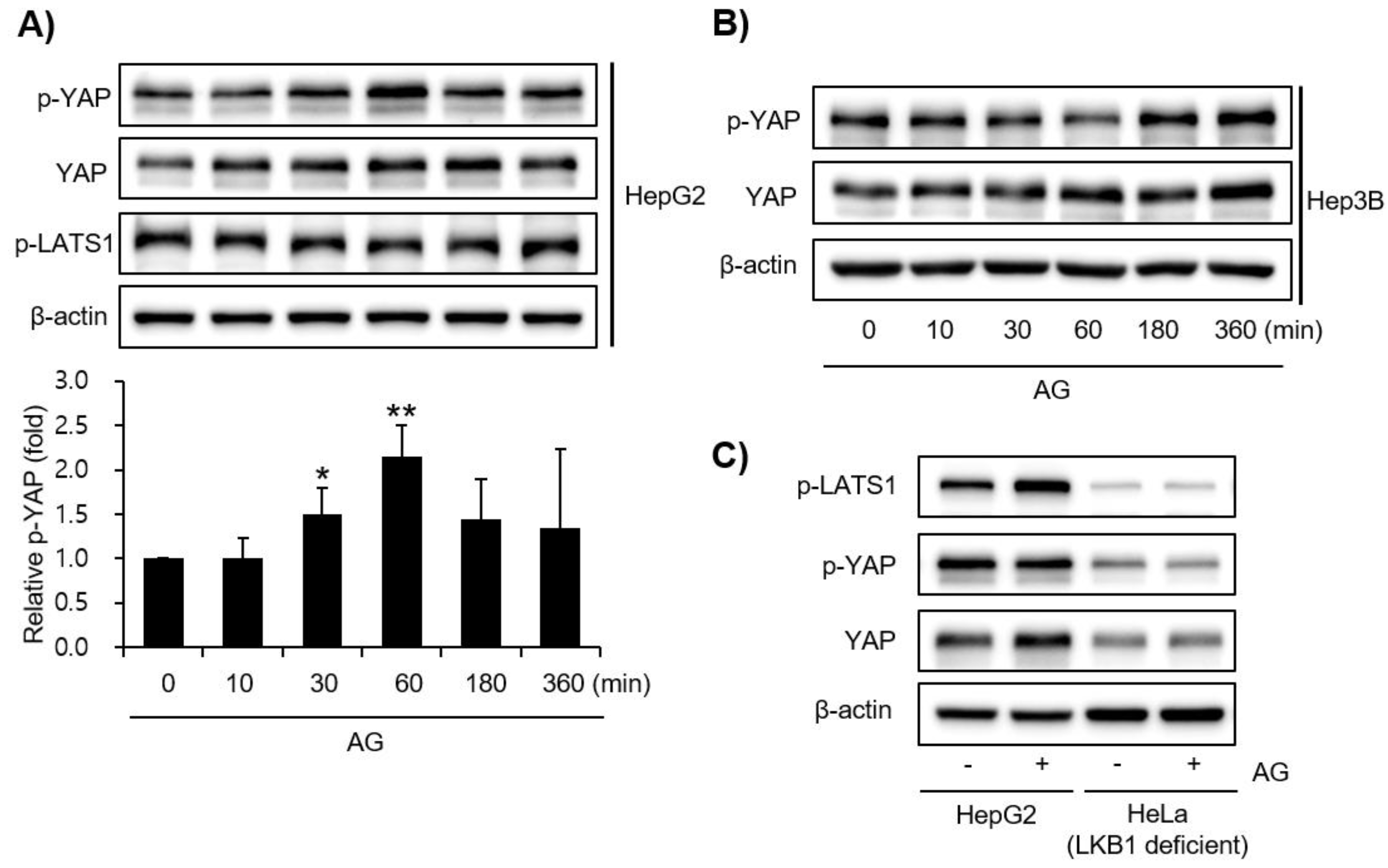 Molecules 27 01858 g005