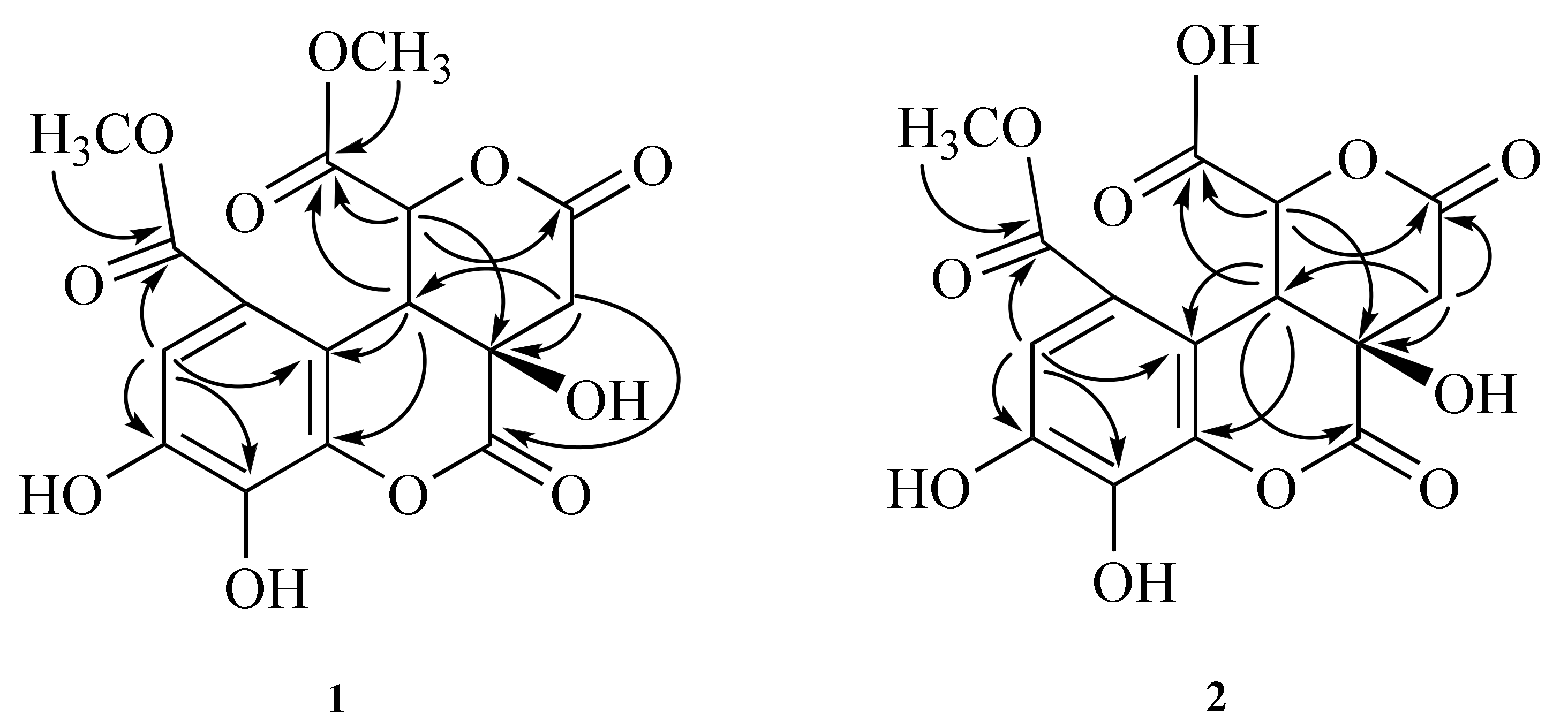 Molecules 27 01885 g003