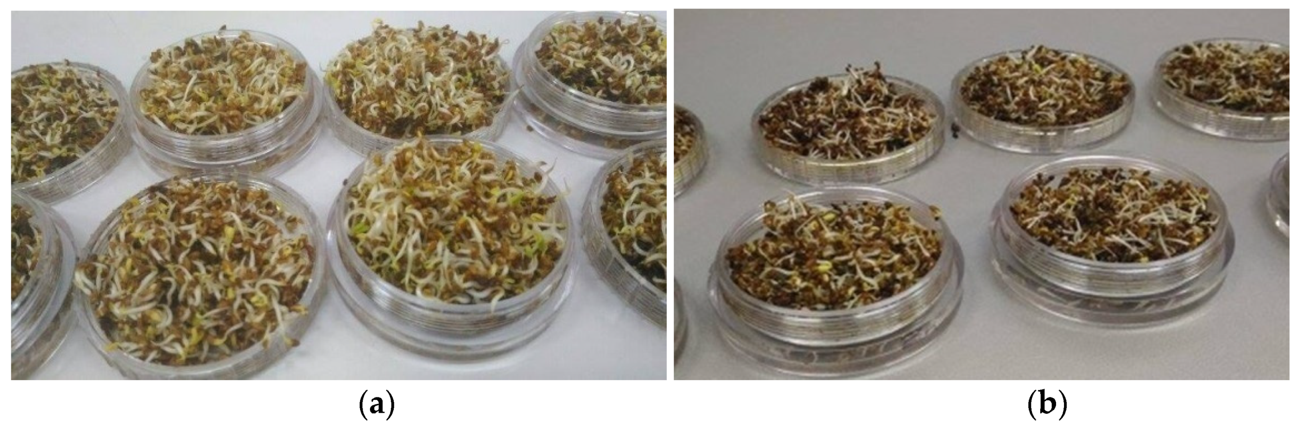 Molecules 27 01891 g004 550