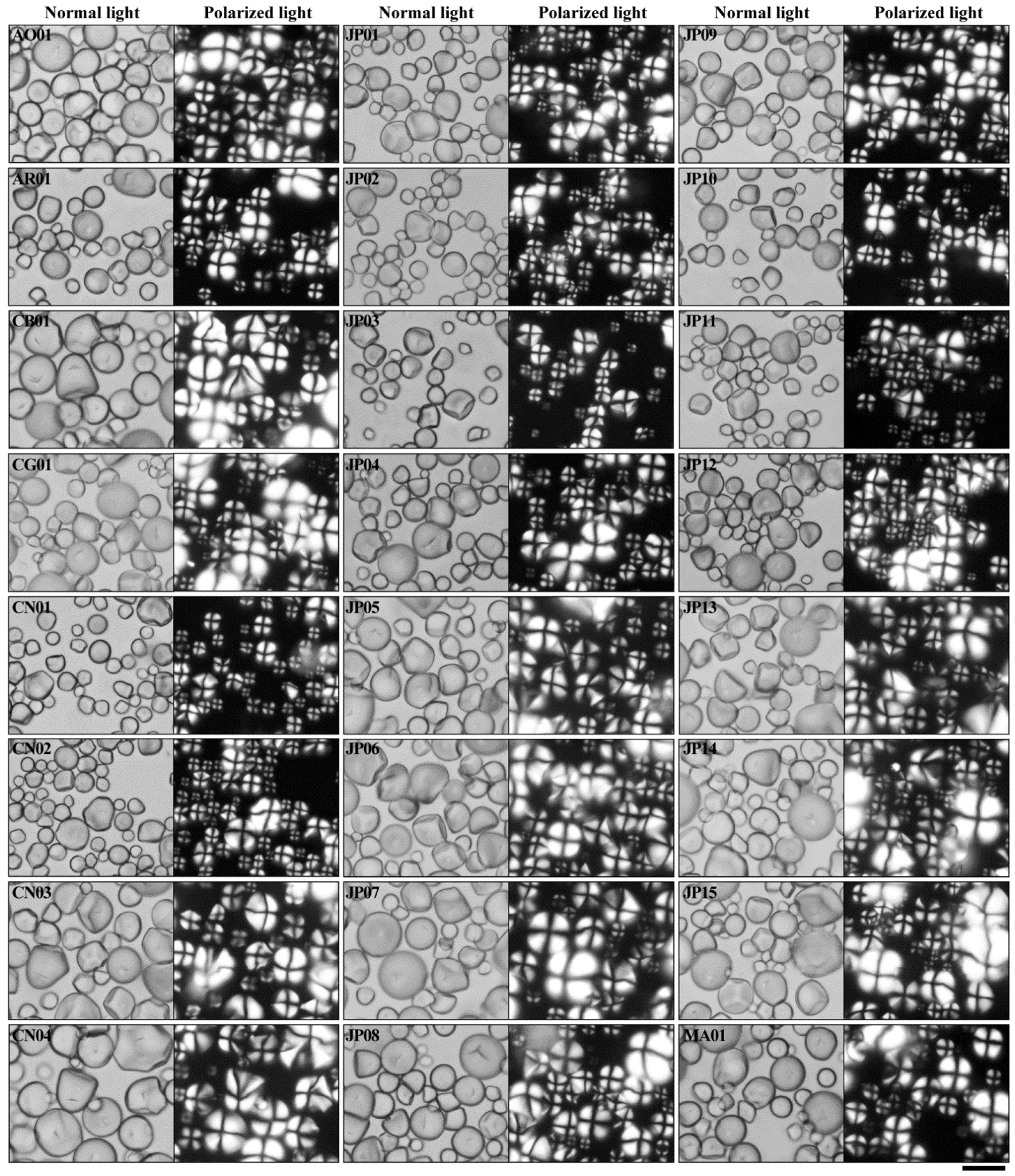Molecules 27 01905 g001a 550