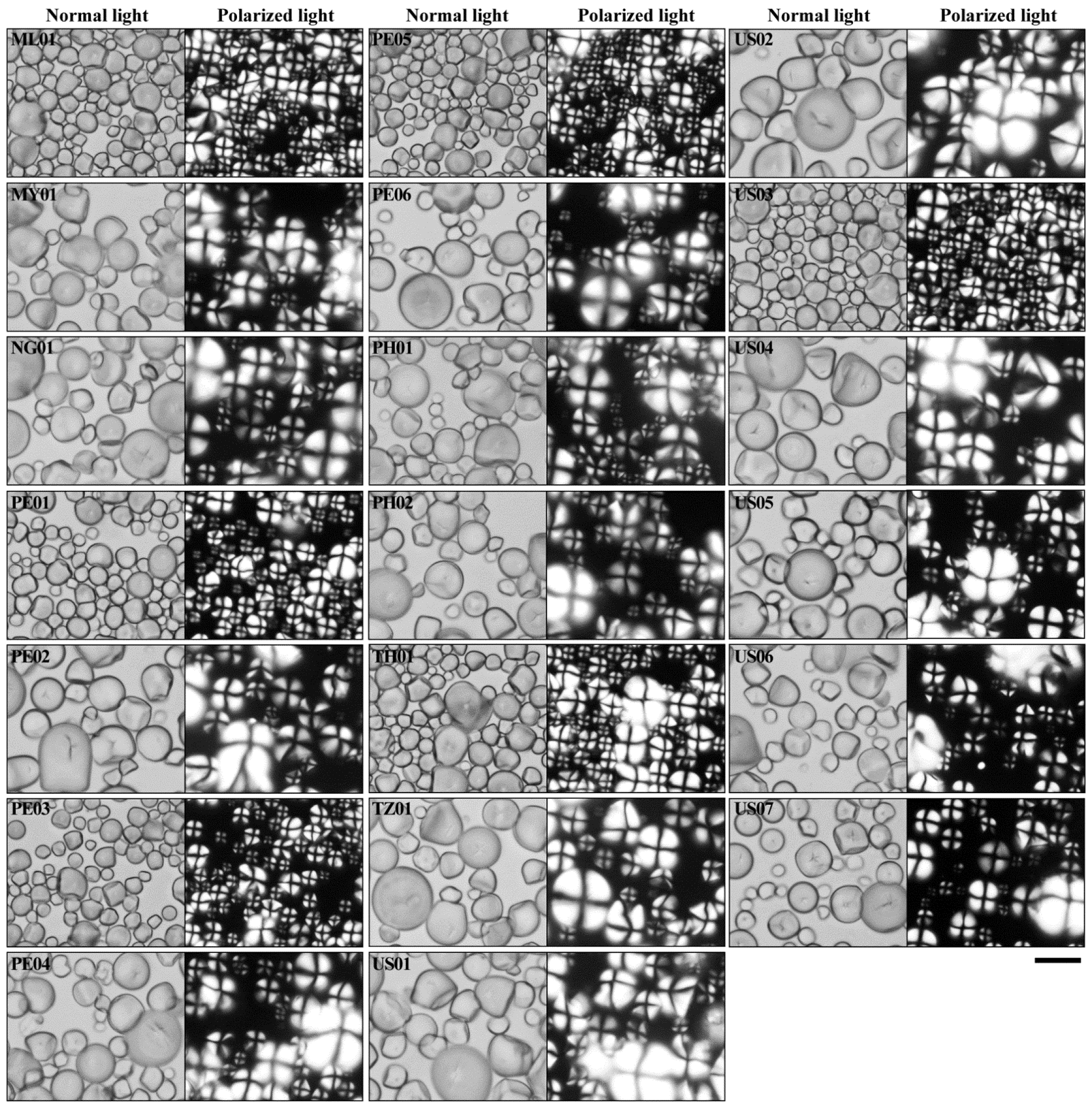 Molecules 27 01905 g001b 550