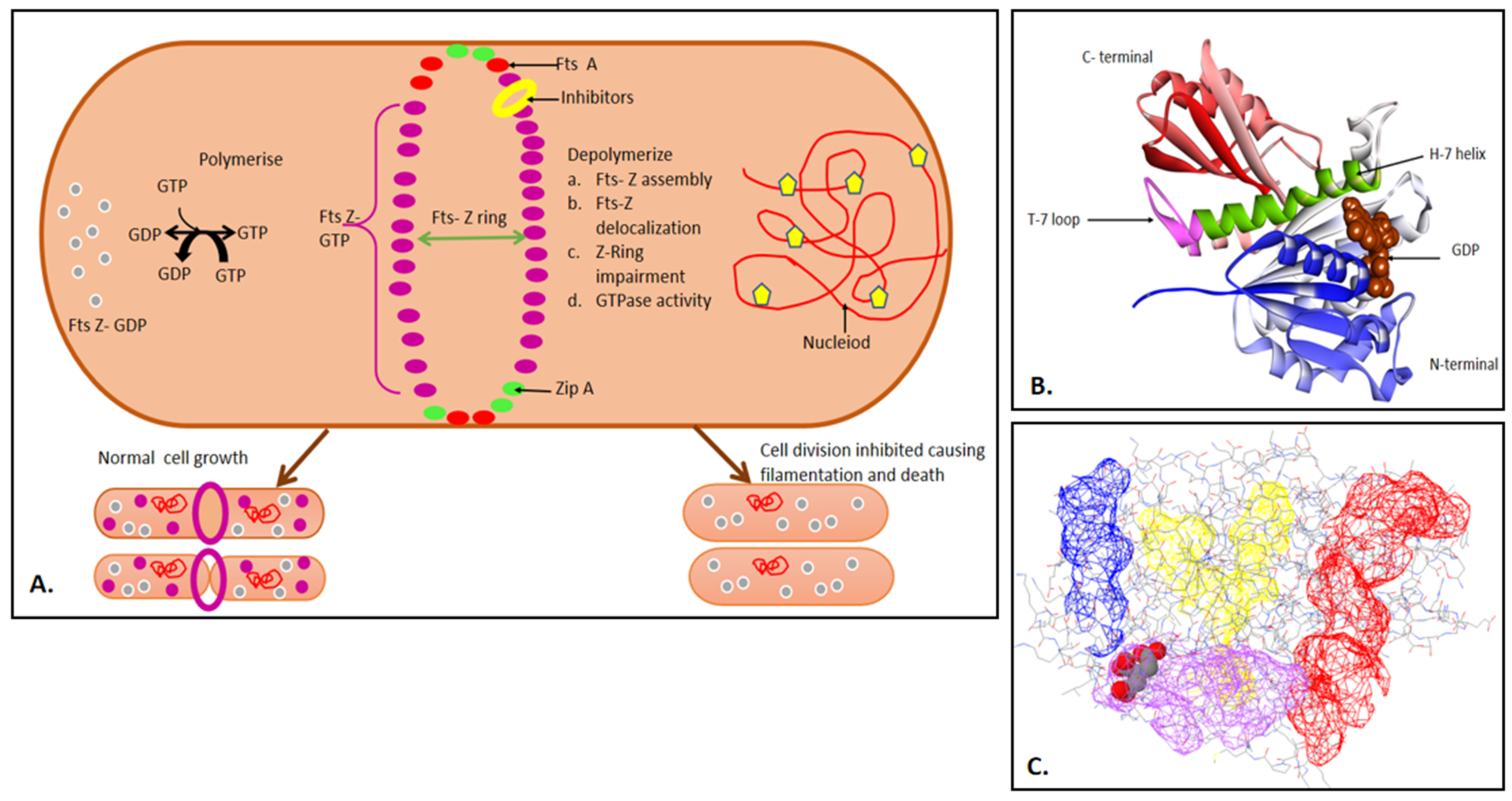Molecules 27 01907 g001 550