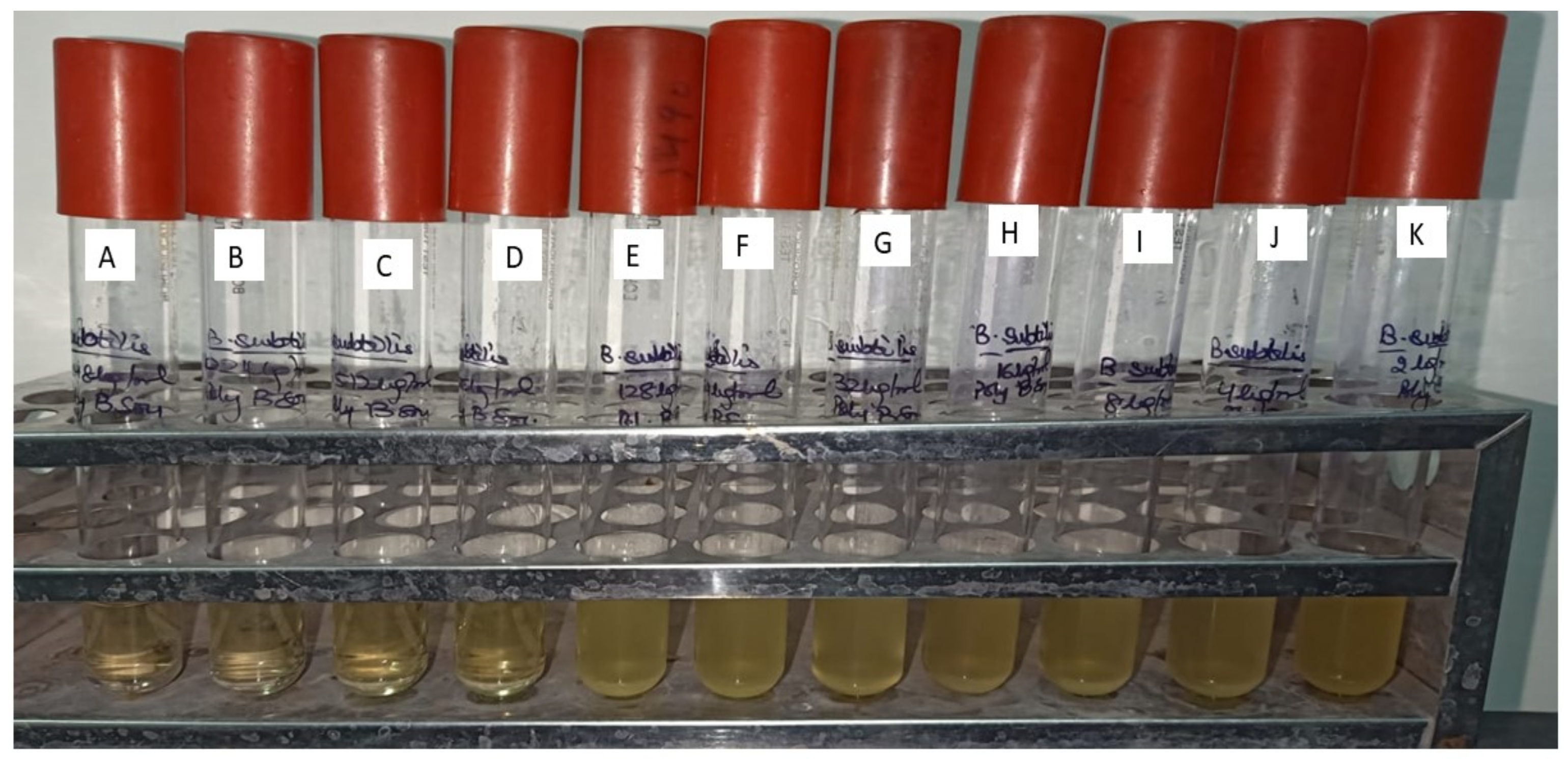 Molecules 27 01907 g013 550