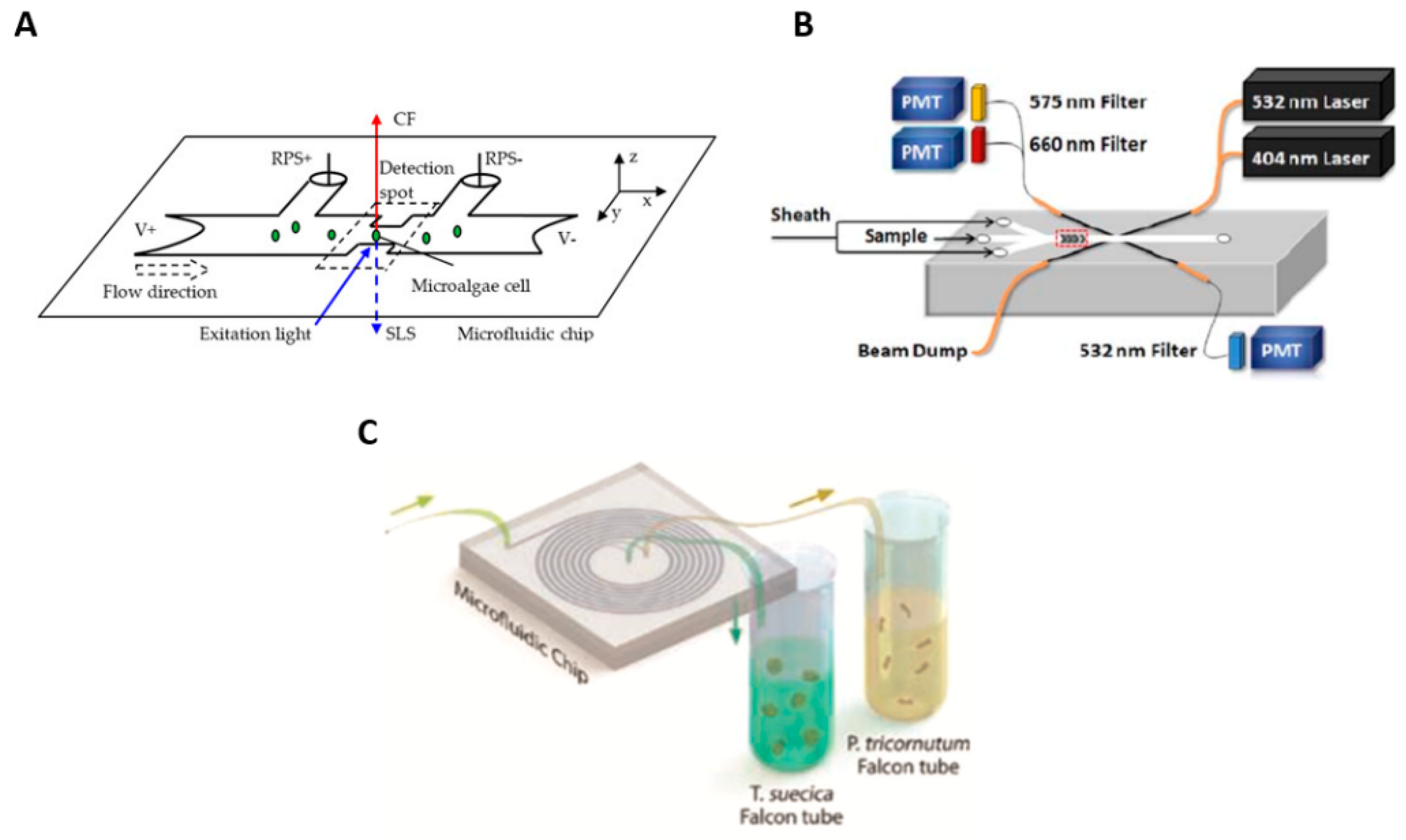 Molecules Free FullText Microfluidic Microalgae System A Review